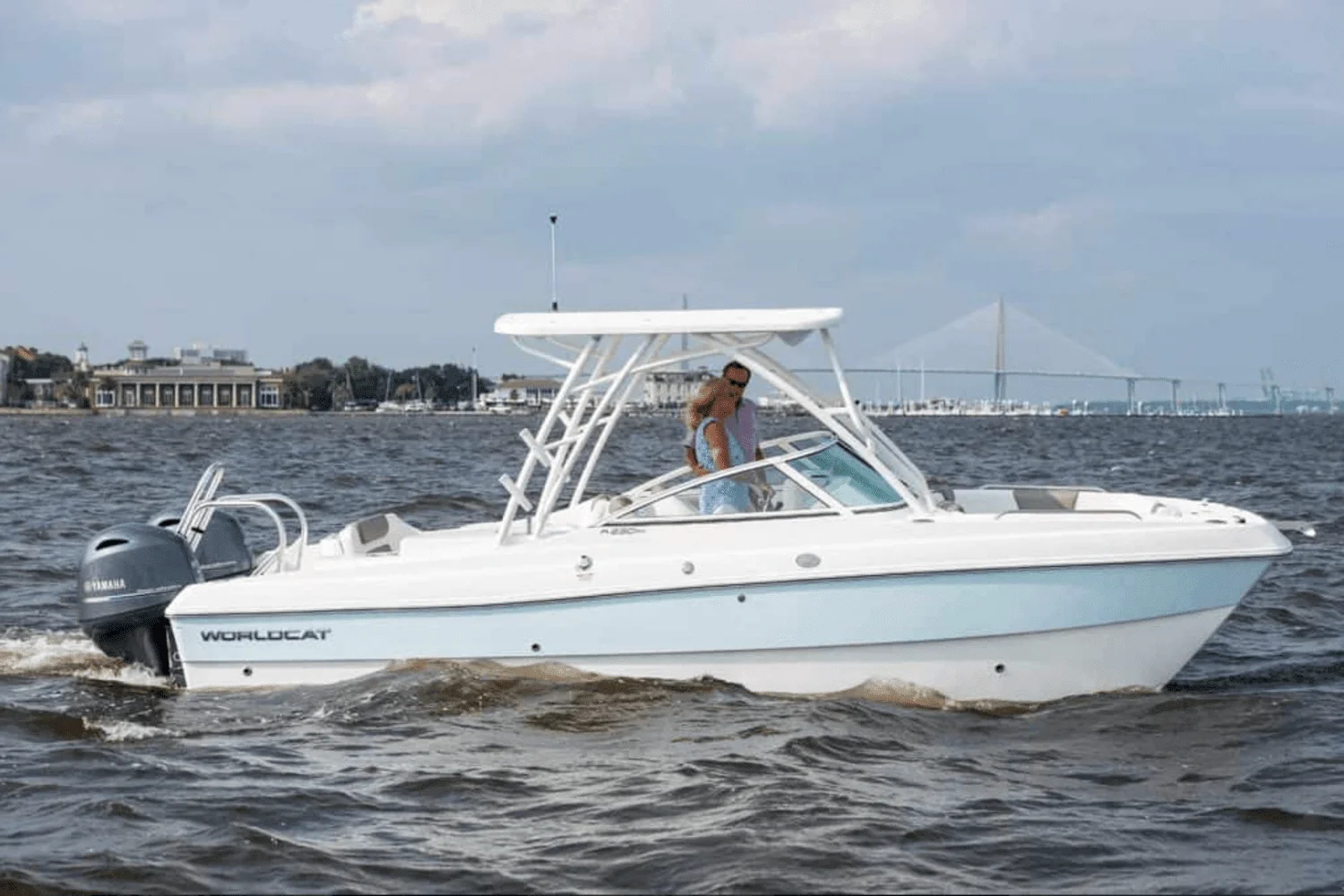 2025 World Cat 230SD Image Thumbnail #7