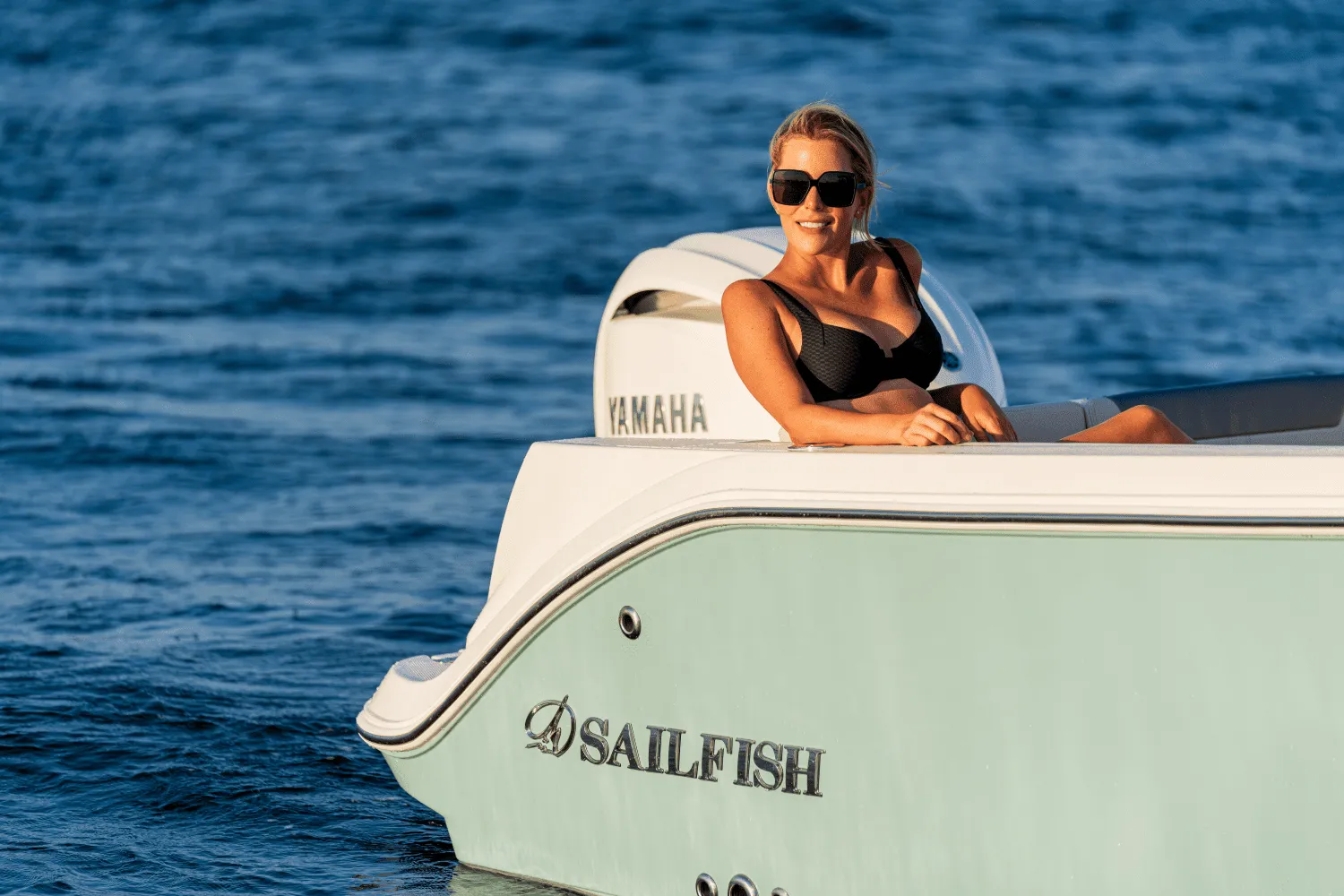 2025 Sailfish 232 CC Image Thumbnail #12