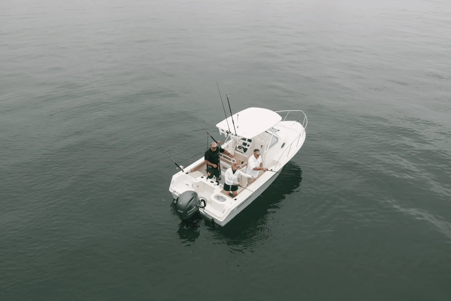 2025 Sailfish 220 WA Image Thumbnail #56