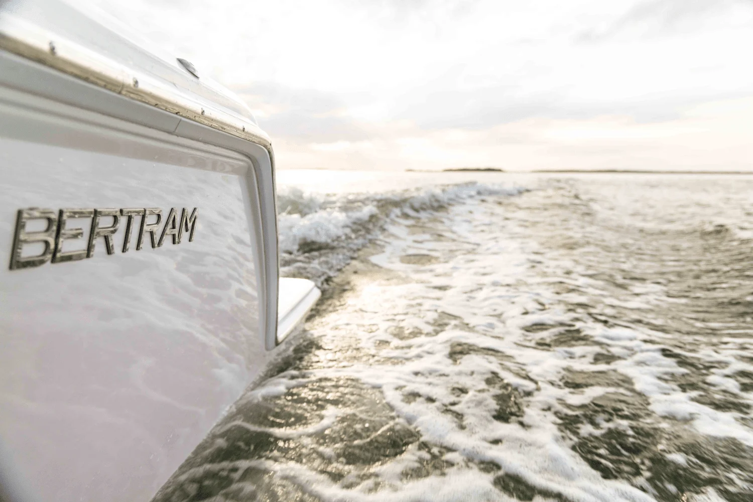 2025 Bertram 39CC Image Thumbnail #43