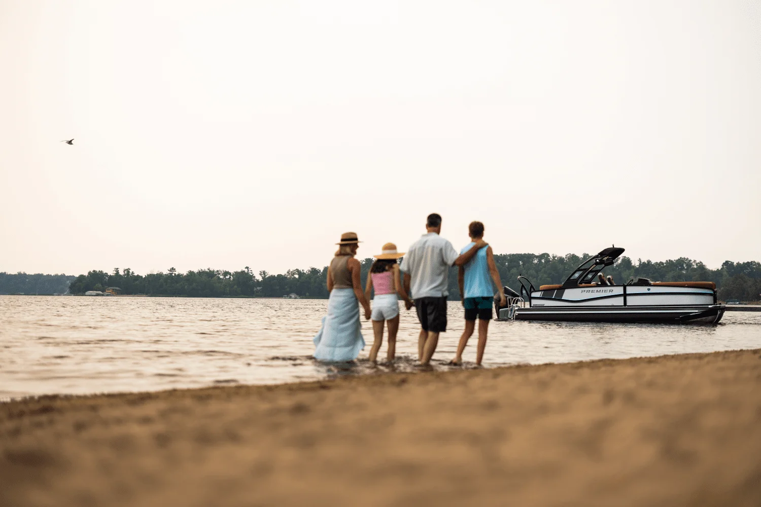 2026 Premier 230 Solaris Image Thumbnail #39