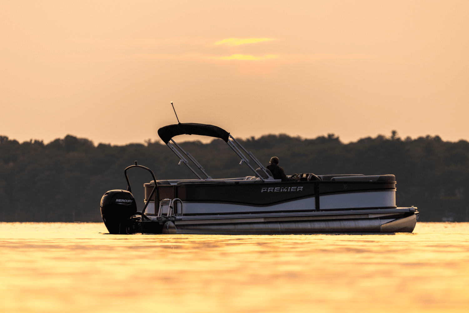 2026 Premier 220 Sunscape Image Thumbnail #43