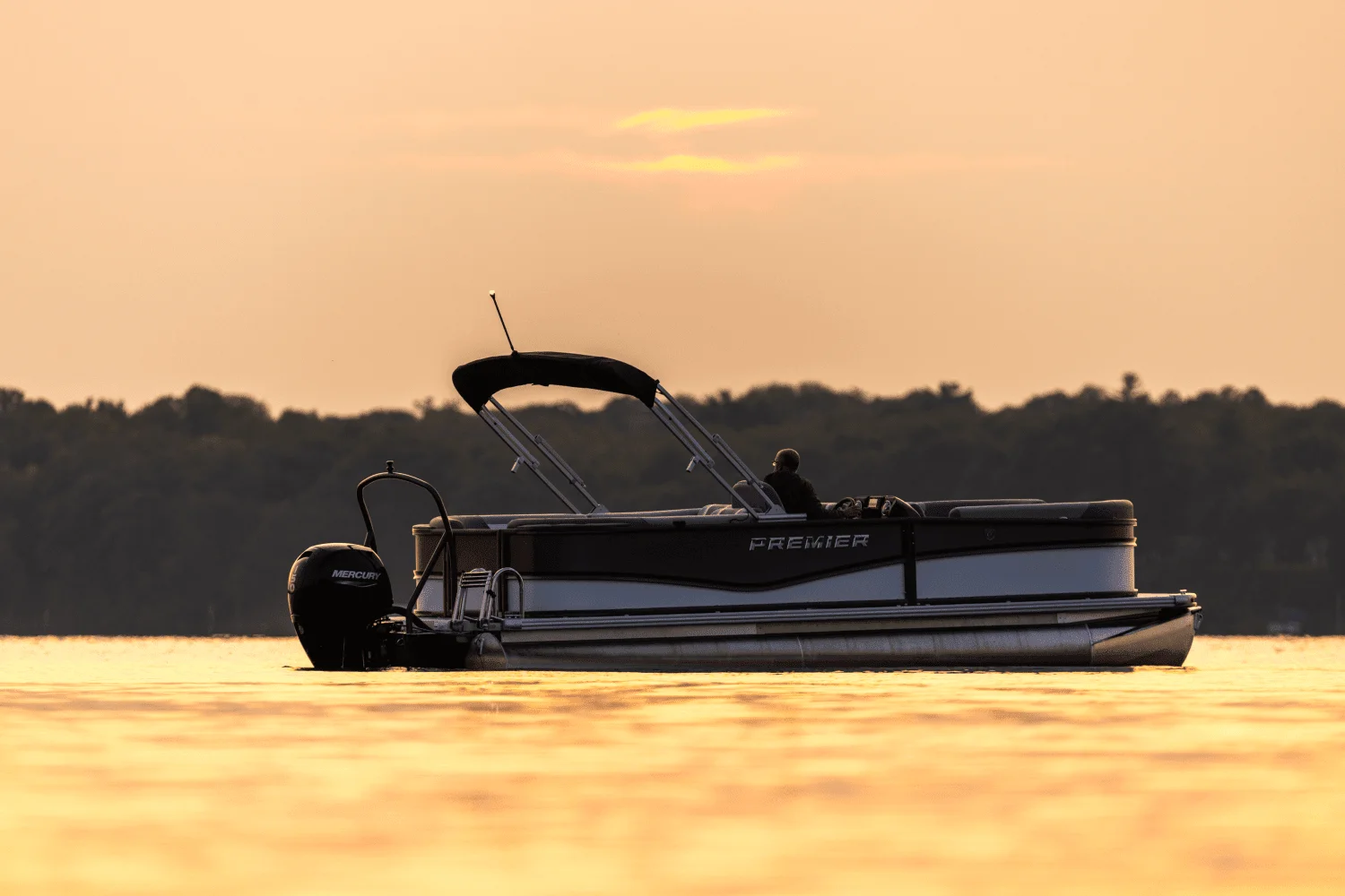 2026 Premier 220 Sunscape Image Thumbnail #43