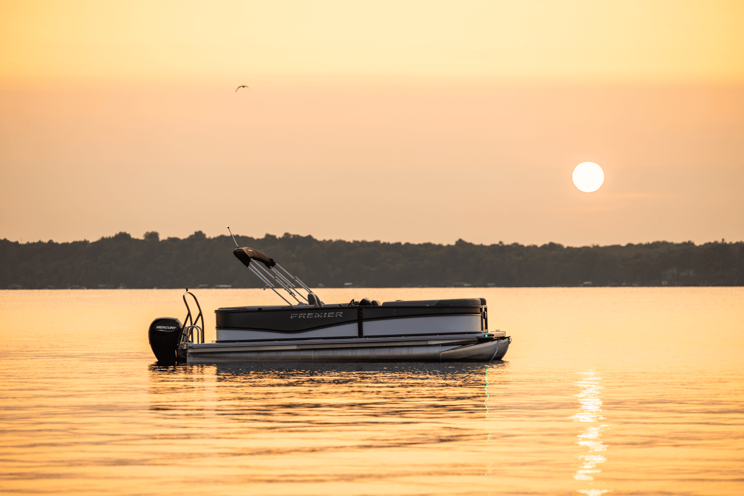 2026 Premier 220 Sunscape Image Thumbnail #36