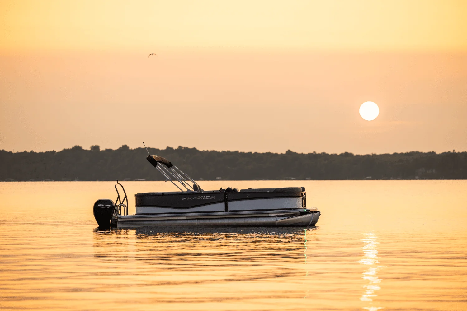 2026 Premier 220 Sunscape Image Thumbnail #36