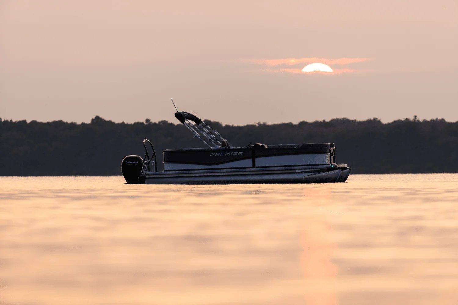 2026 Premier 220 Sunscape Image Thumbnail #42