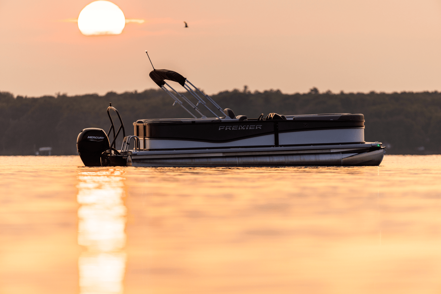 2026 Premier 220 Sunscape Image Thumbnail #37