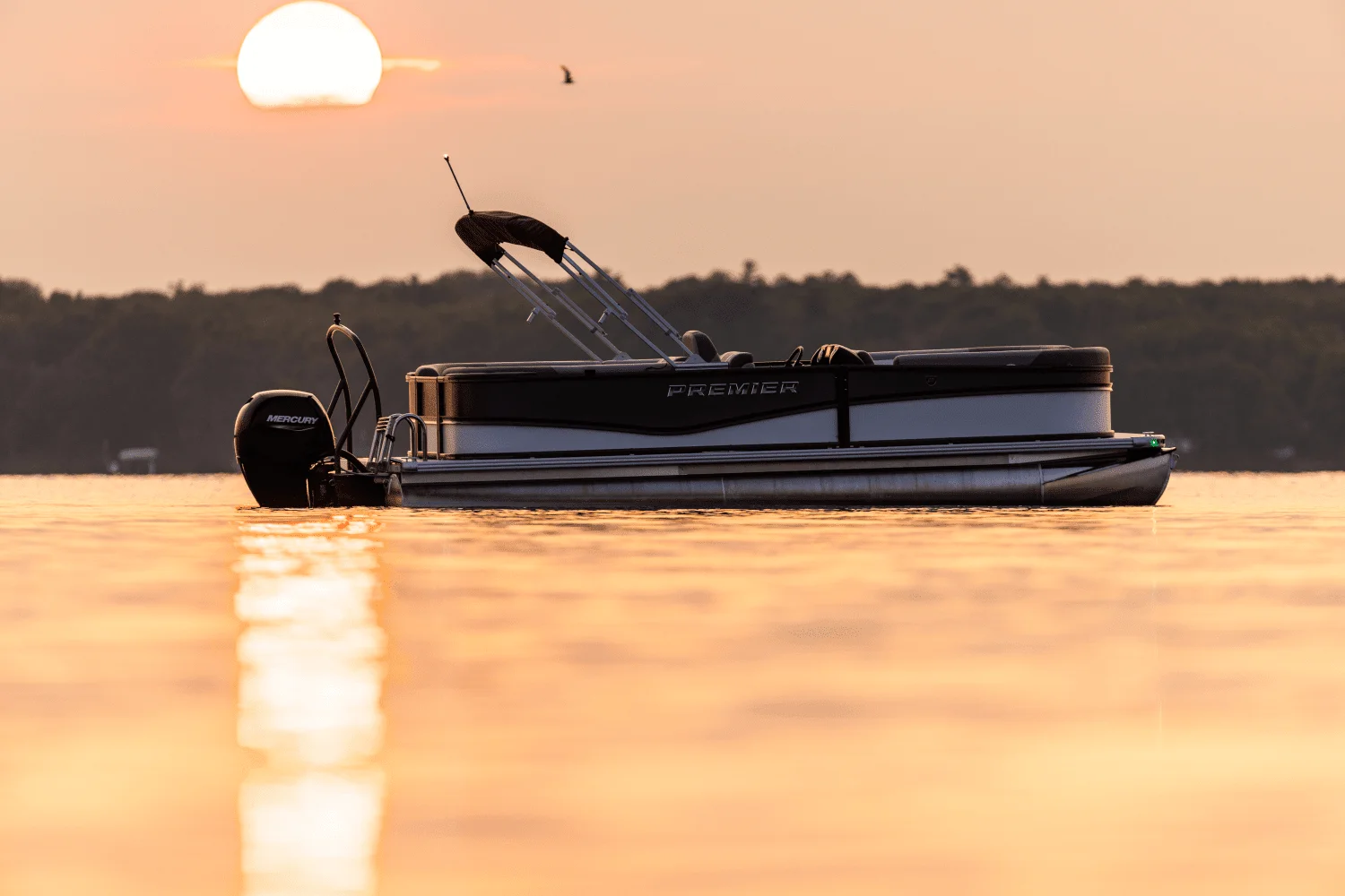 2026 Premier 220 Sunscape Image Thumbnail #37