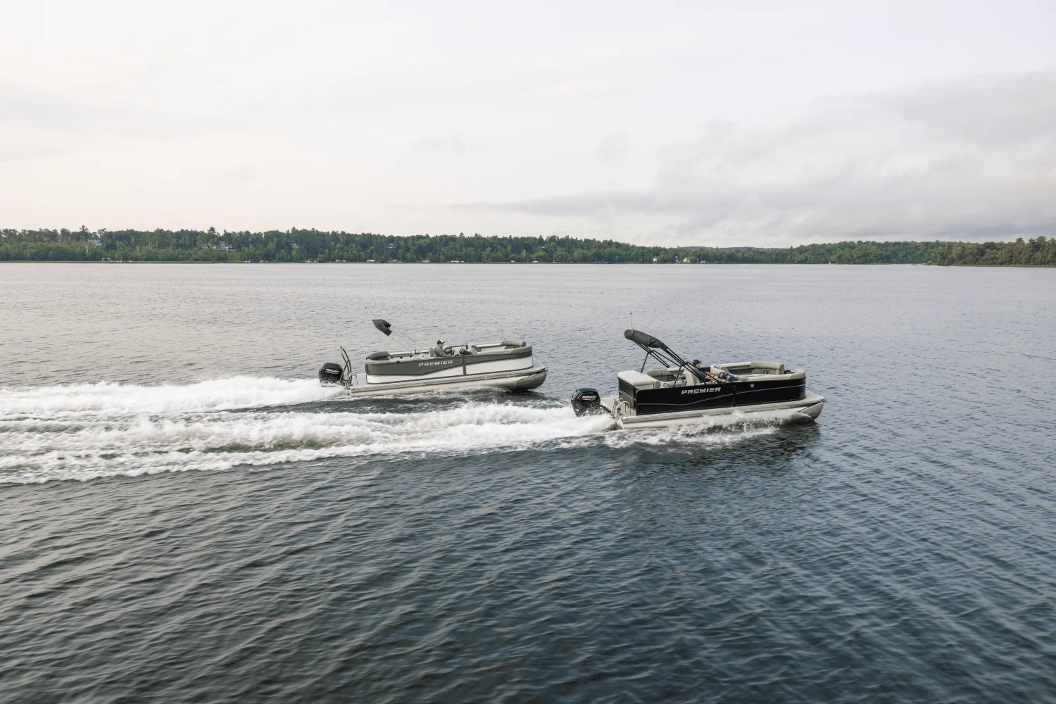 2026 Premier 220 Sunscape Image Thumbnail #80