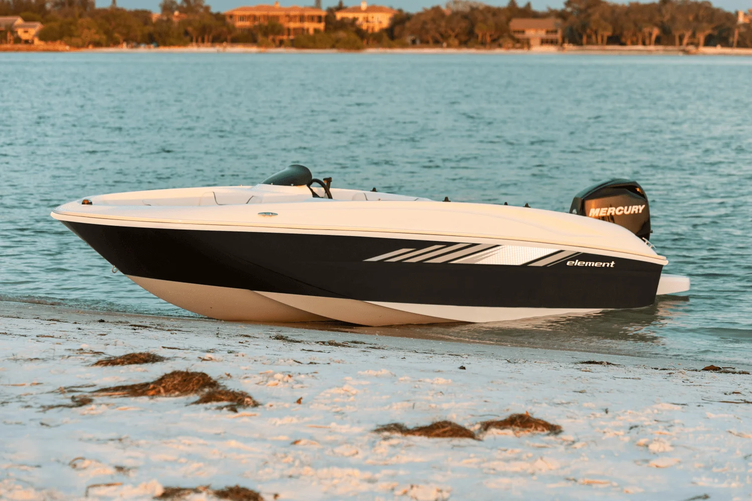 2025 Bayliner Element E16 Image Thumbnail #5