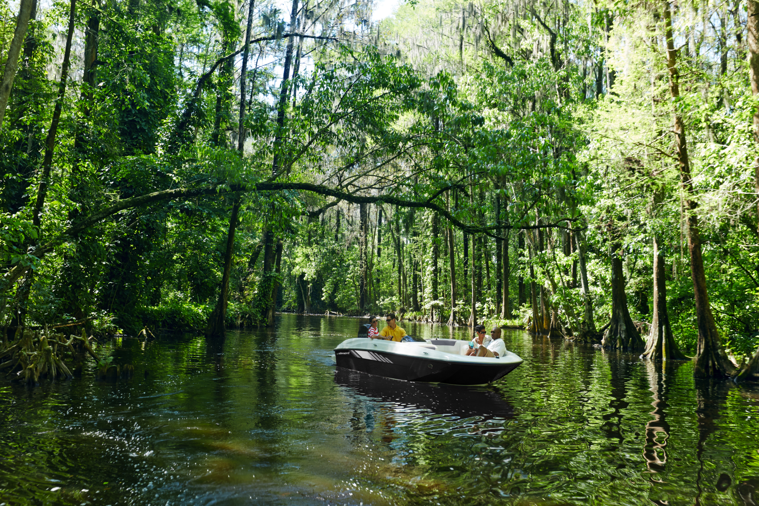 2025 Bayliner Element E18 Image Thumbnail #4