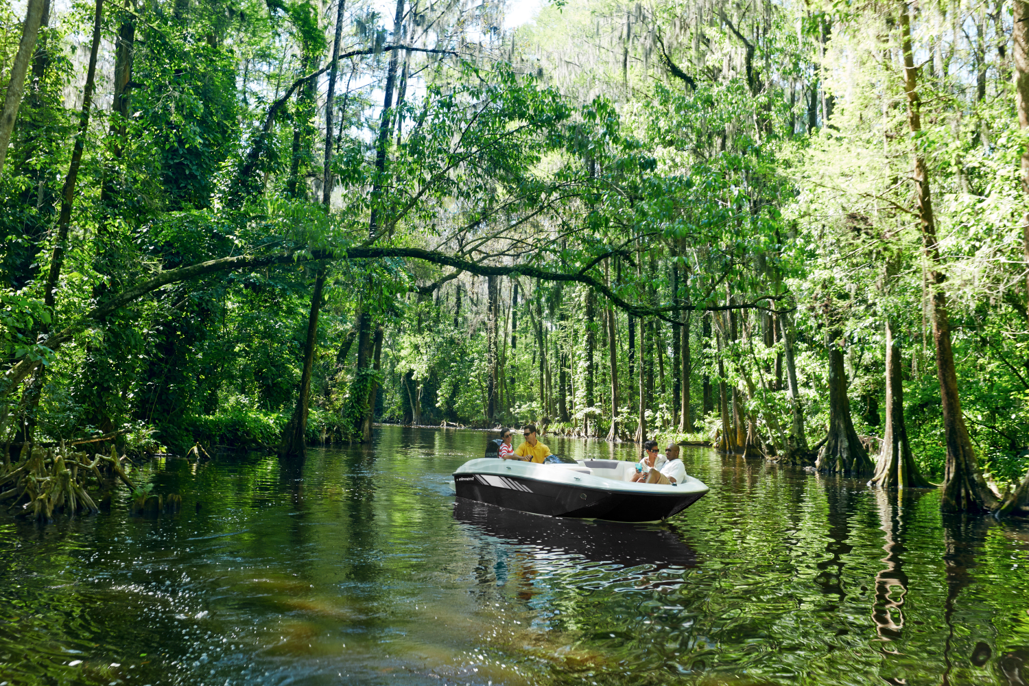 2025 Bayliner Element E18 Image Thumbnail #4