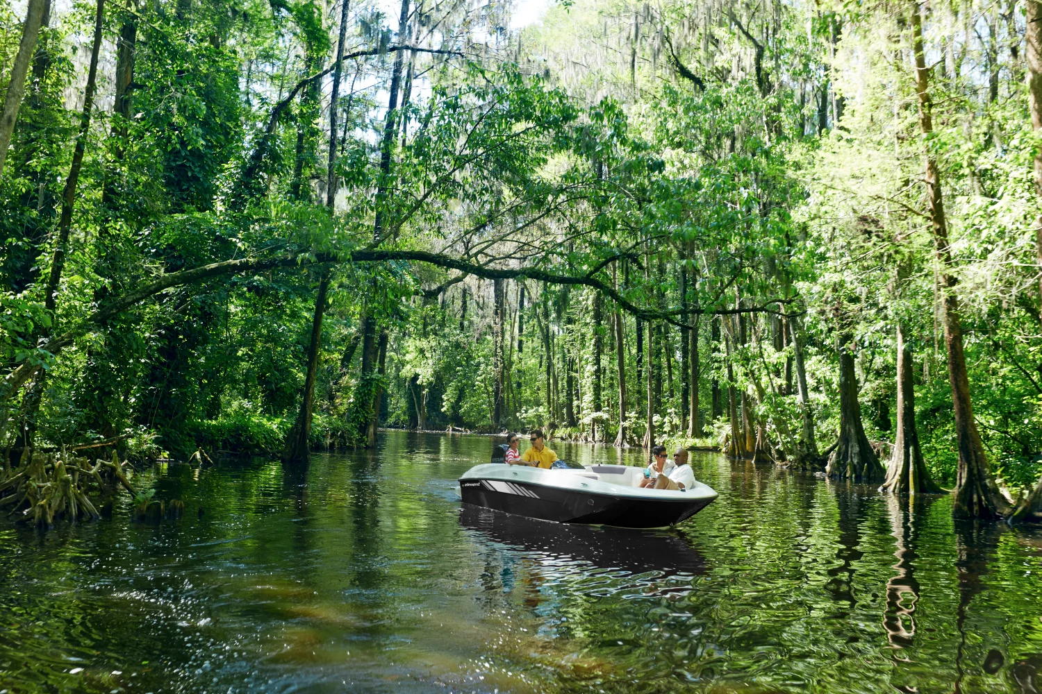 2025 Bayliner Element E18 Image Thumbnail #4