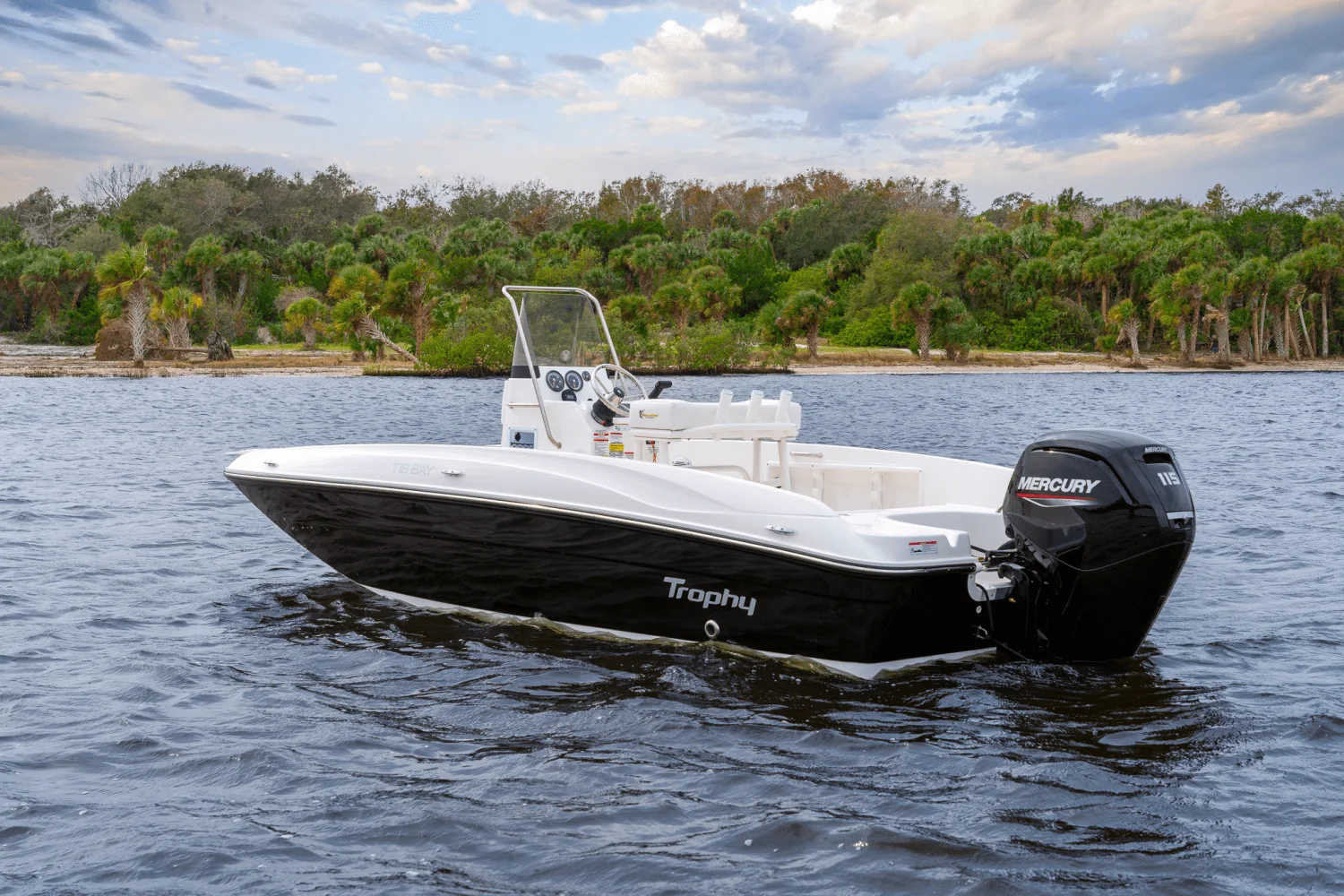 2025 Bayliner T18 Image Thumbnail #6