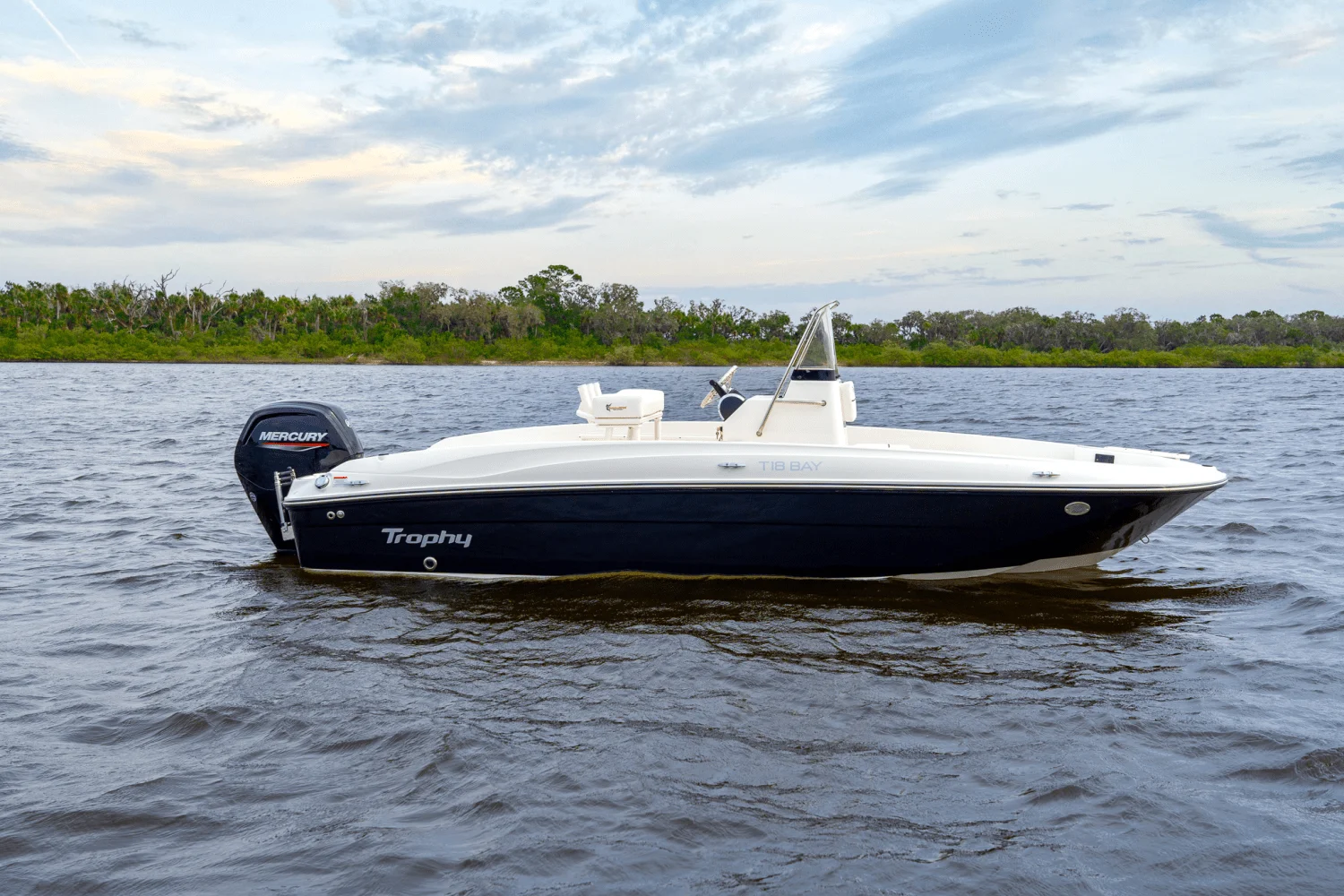 2025 Bayliner T18 Image Thumbnail #5