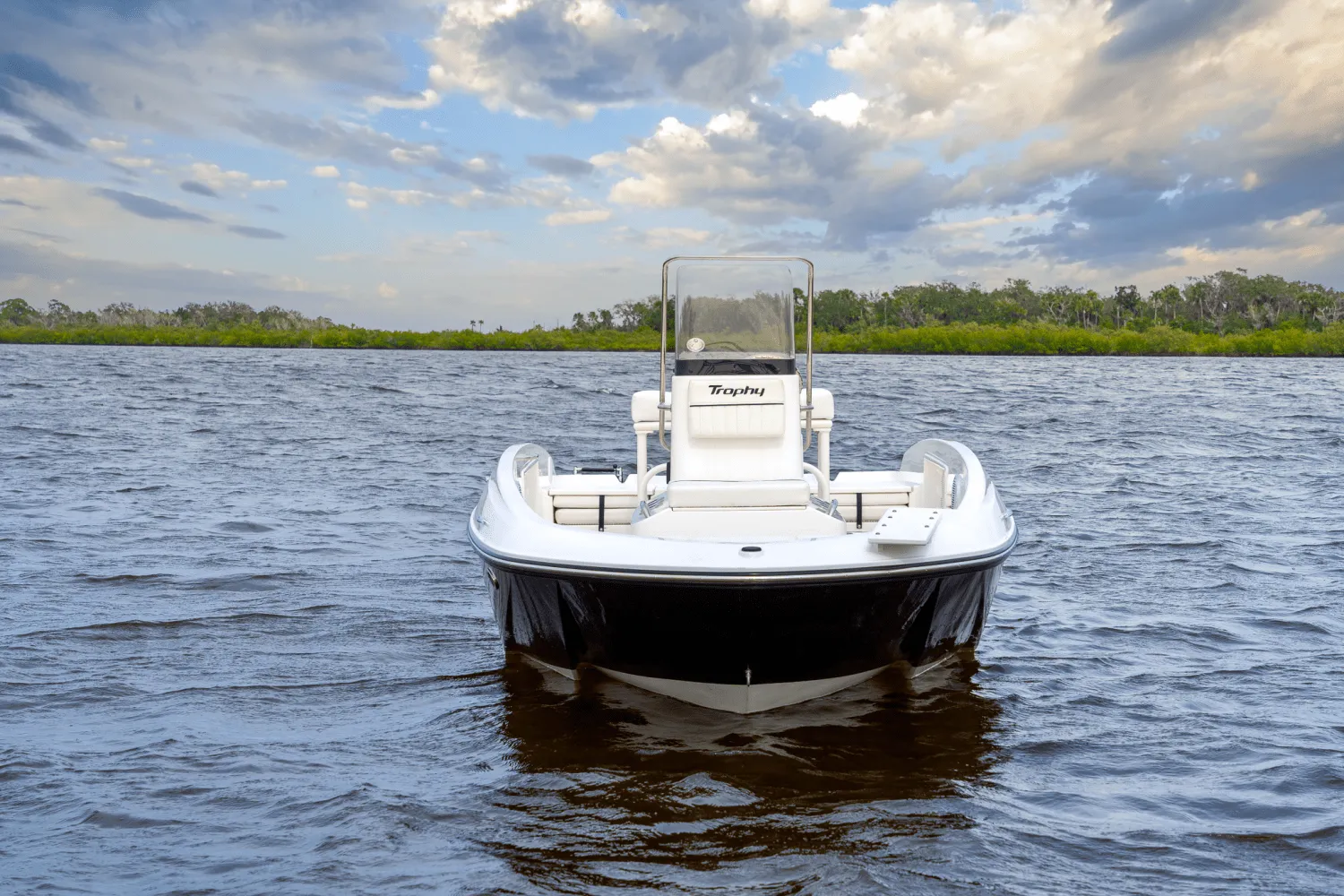 2025 Bayliner T18 Image Thumbnail #7