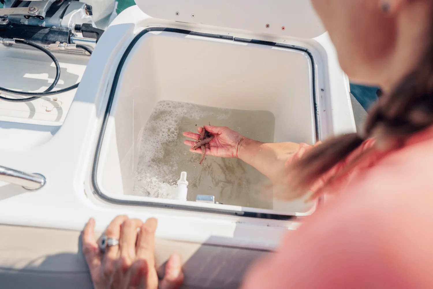 2025 Bayliner T22SC Image Thumbnail #35