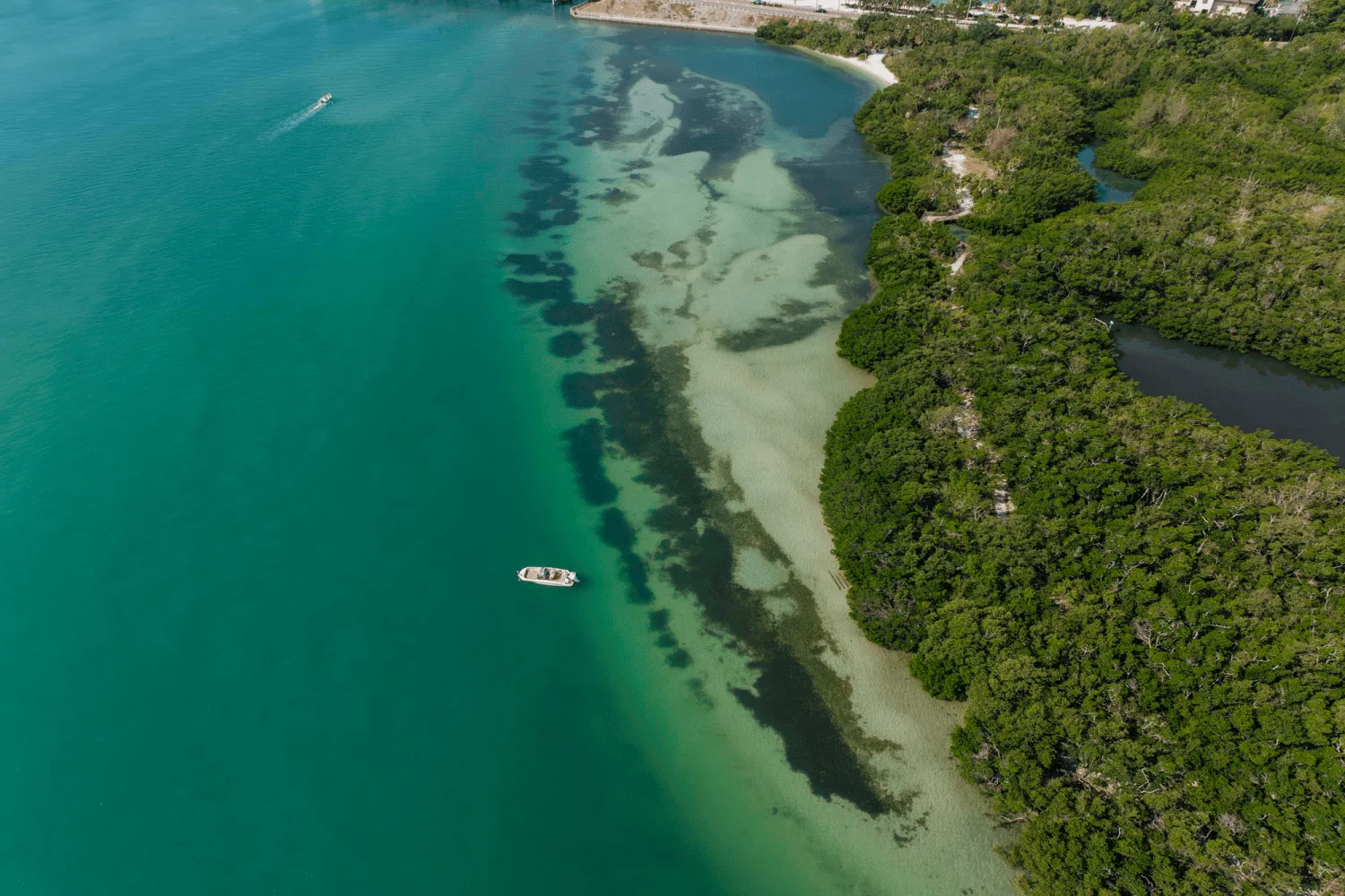 2025 Bayliner T22SC Image Thumbnail #29