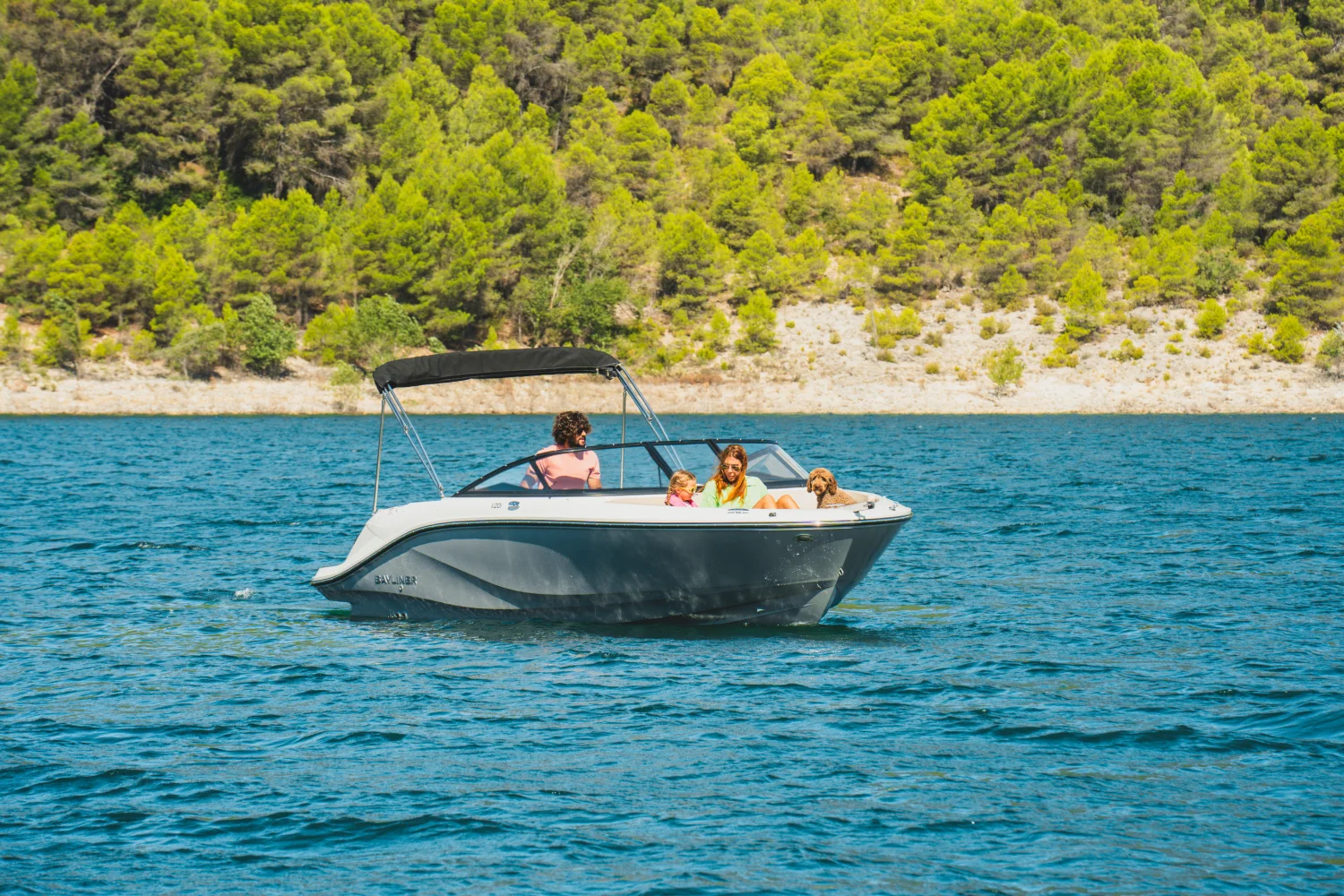 2025 Bayliner V20I Image Thumbnail #44