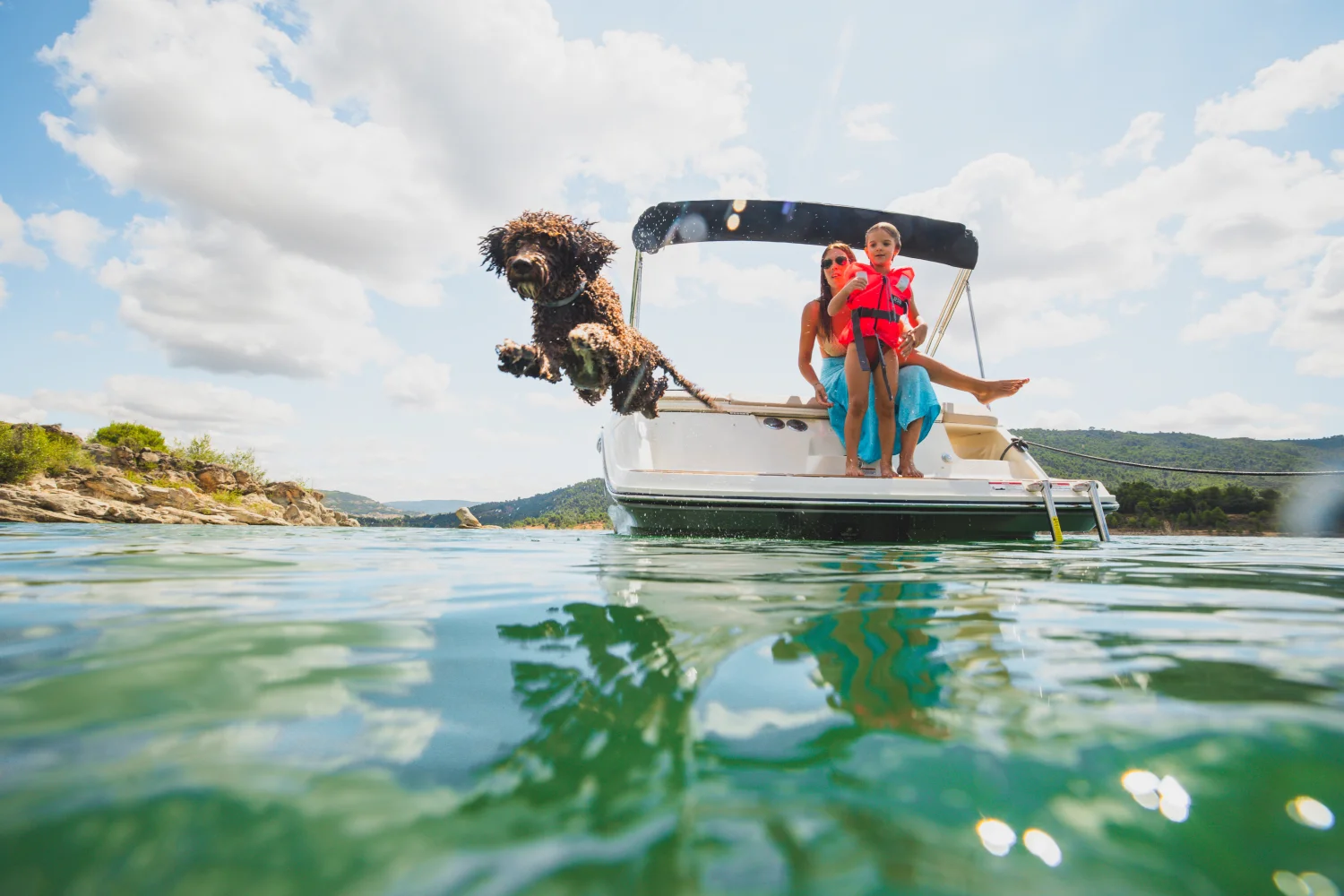 2025 Bayliner V20I Image Thumbnail #20