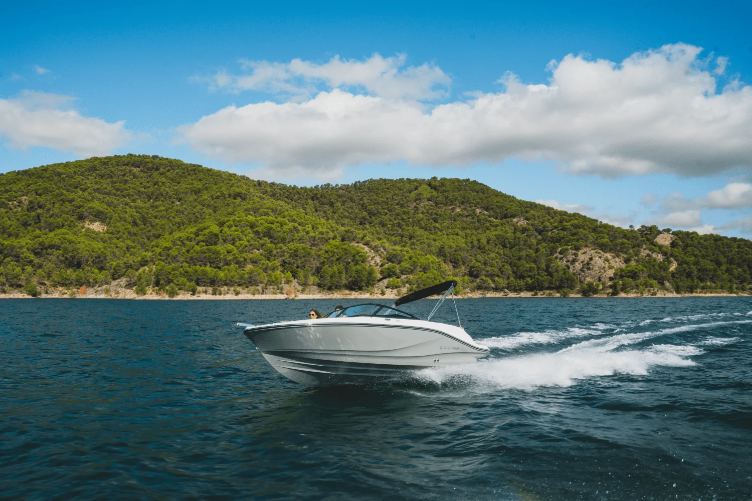 2025 Bayliner V20I Image Thumbnail #43