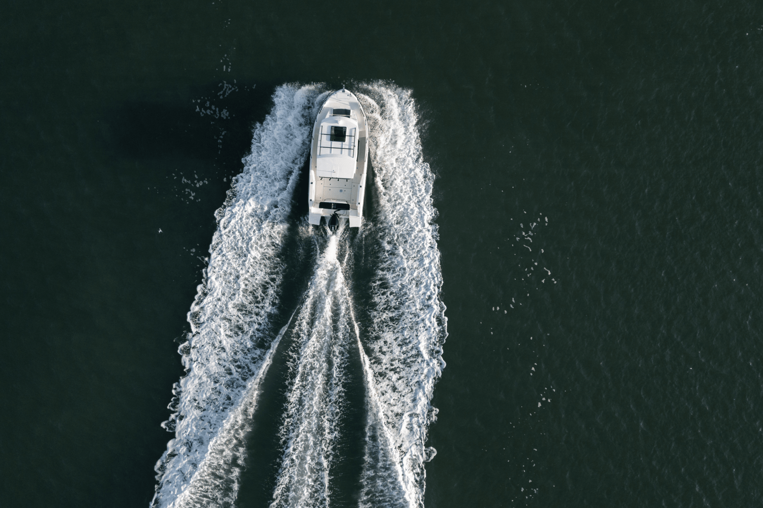 2025 Bayliner T25 Pilothouse Image Thumbnail #3