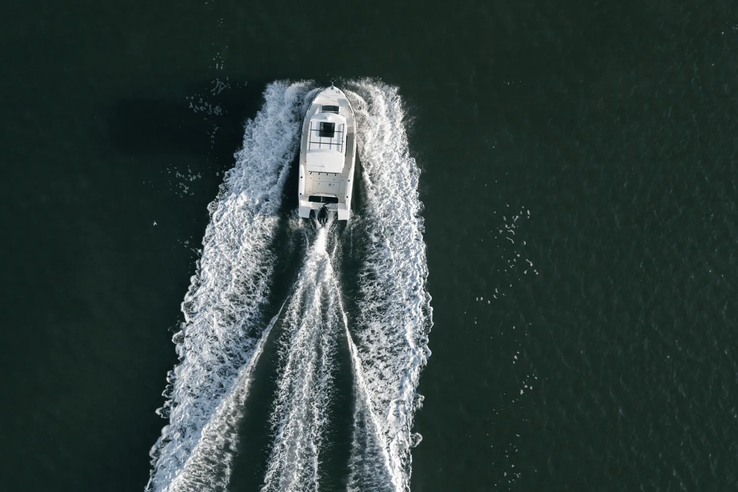 2025 Bayliner T25 Pilothouse Image Thumbnail #3