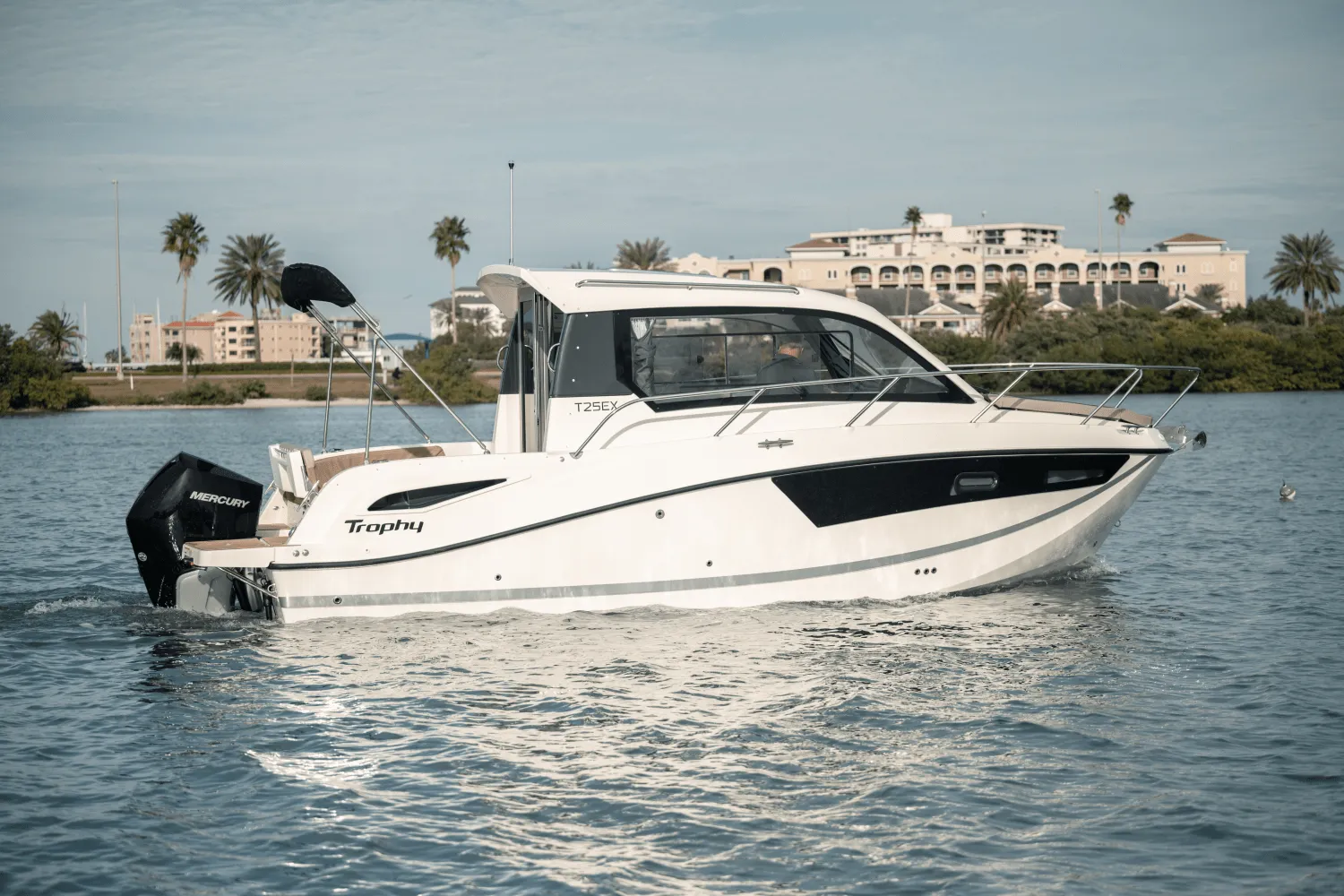 2025 Bayliner T29 Explorer Image Thumbnail #9