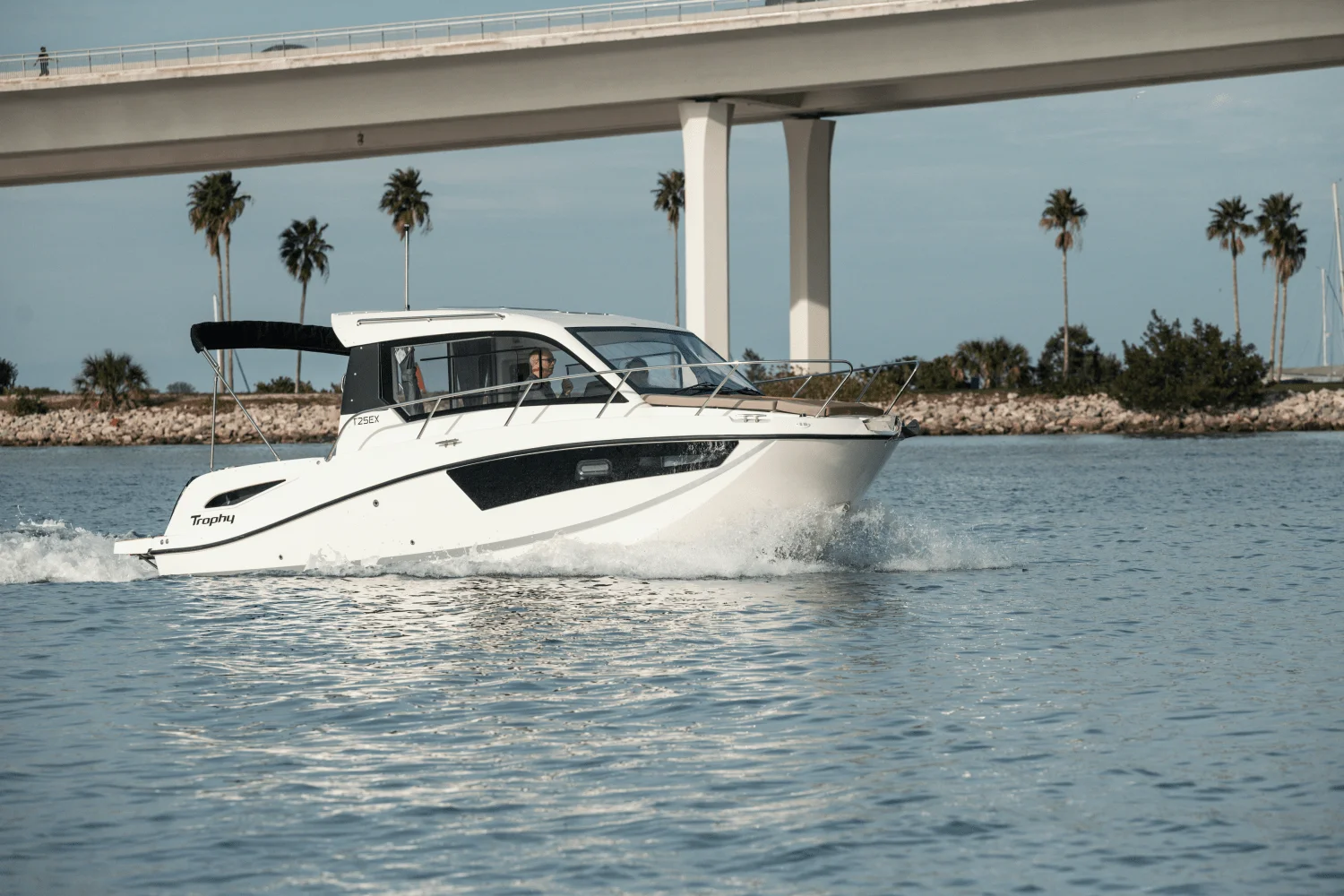 2025 Bayliner T29 Explorer Image Thumbnail #10