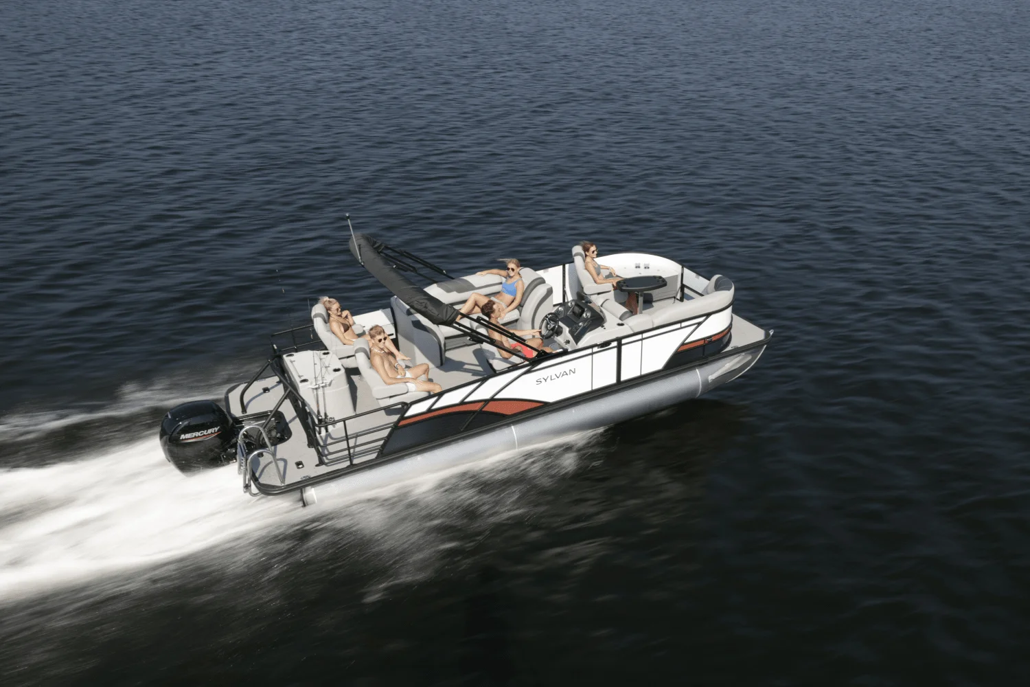 2026 Sylvan L3 Party Fish Image Thumbnail #2