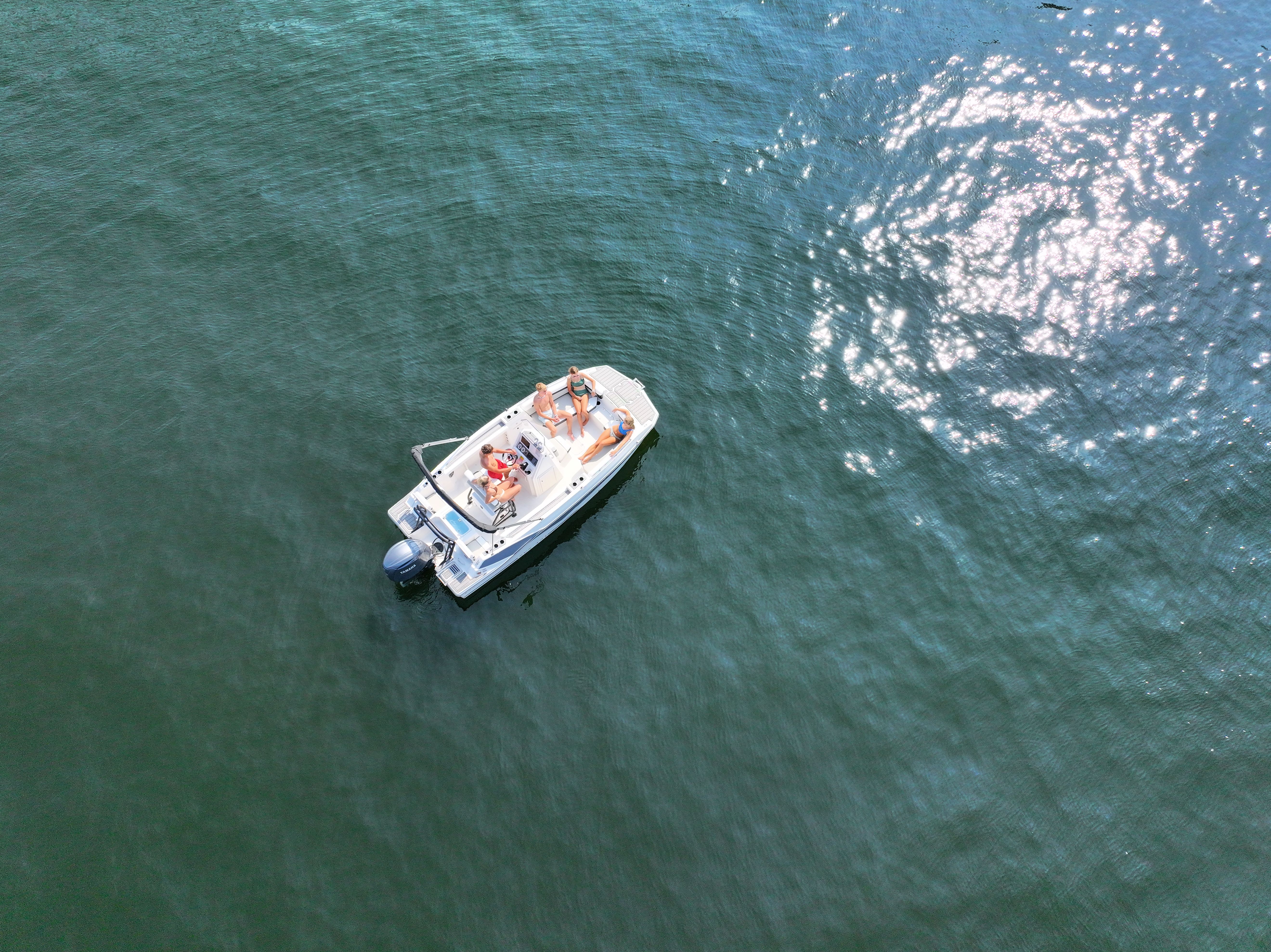 2026 Starcraft SVX 191 CC OB Image Thumbnail #1