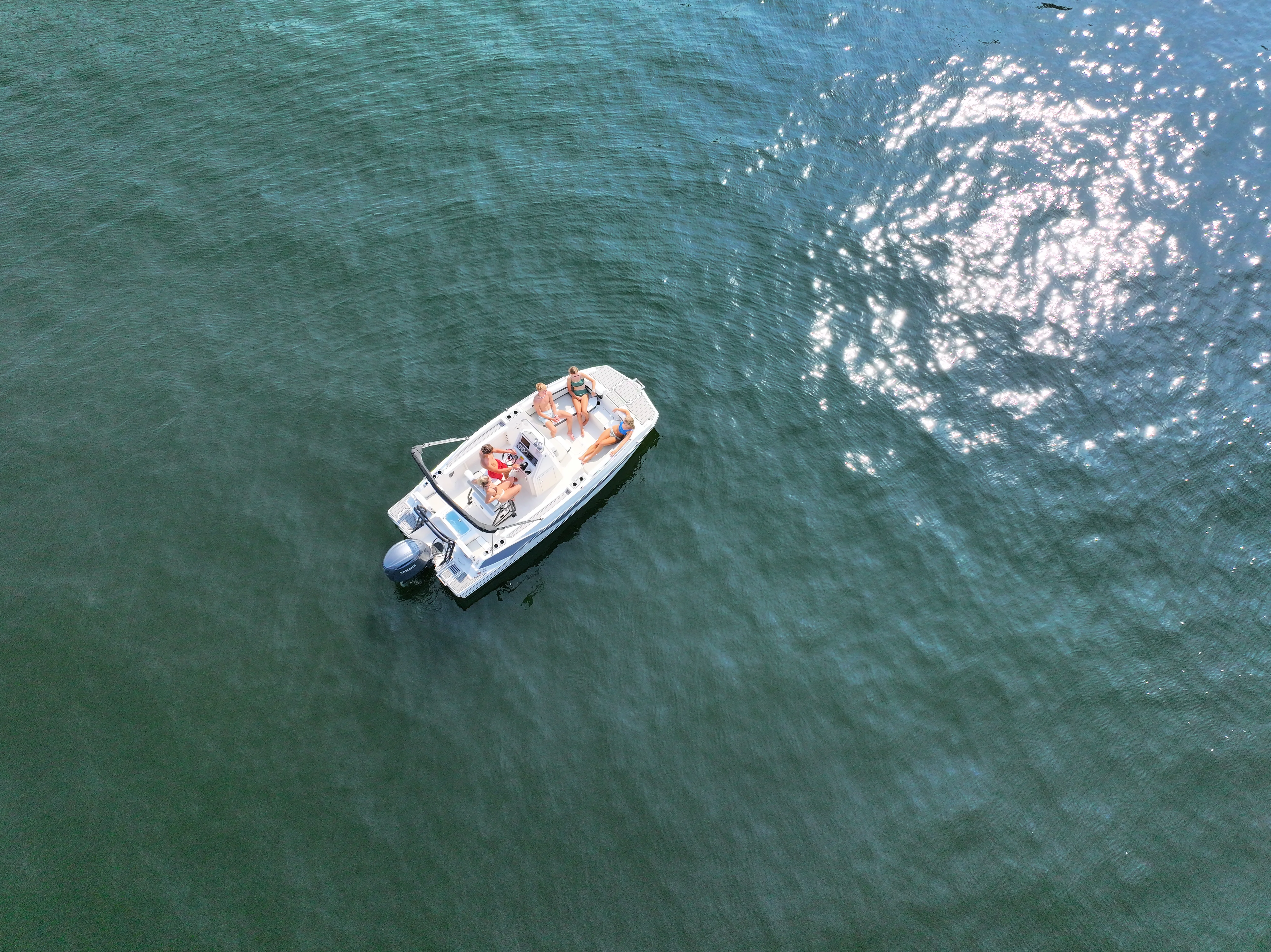 2026 Starcraft SVX 191 CC OB Image Thumbnail #1