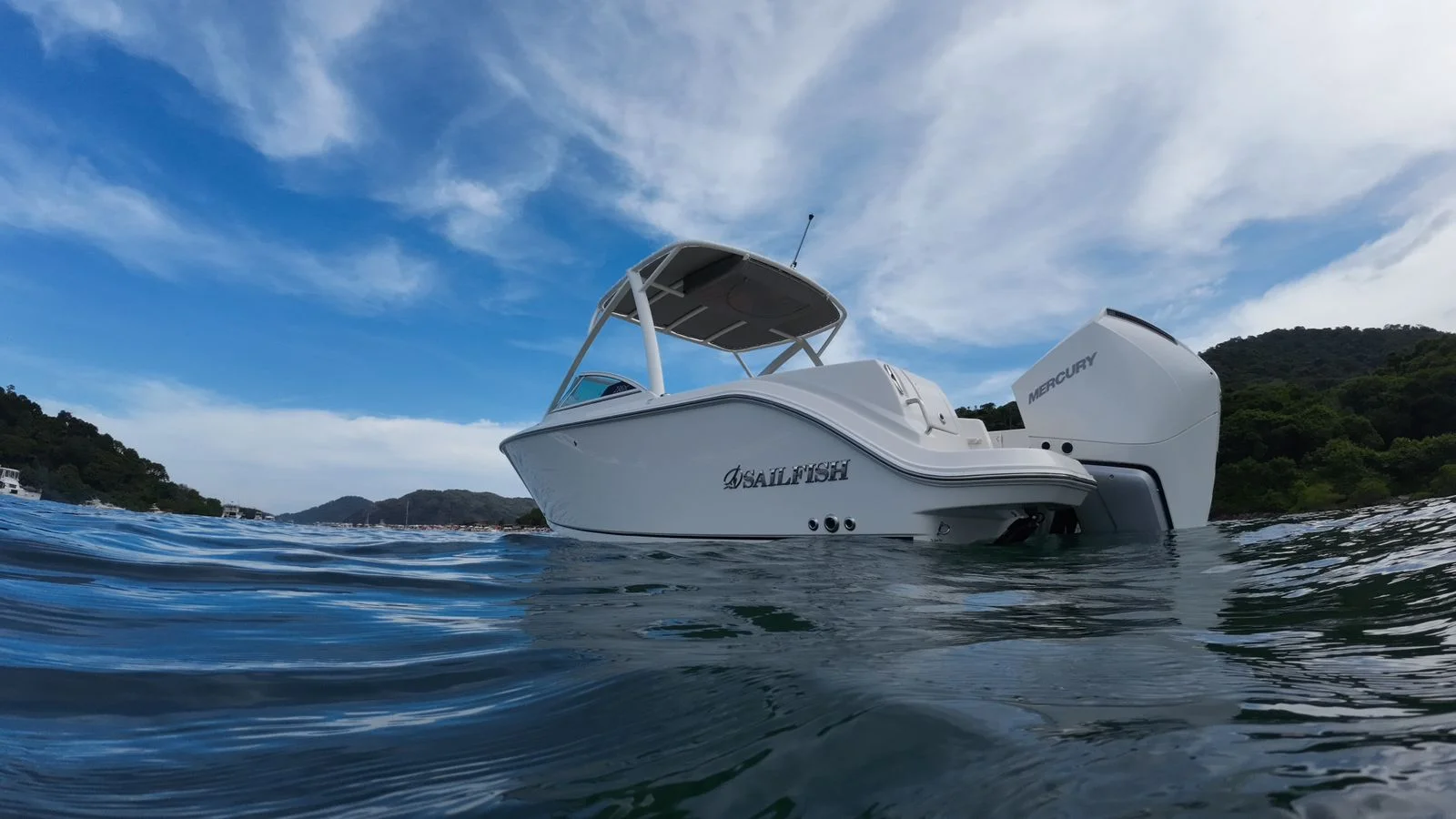 2026 Sailfish 236 DC Image Thumbnail #9