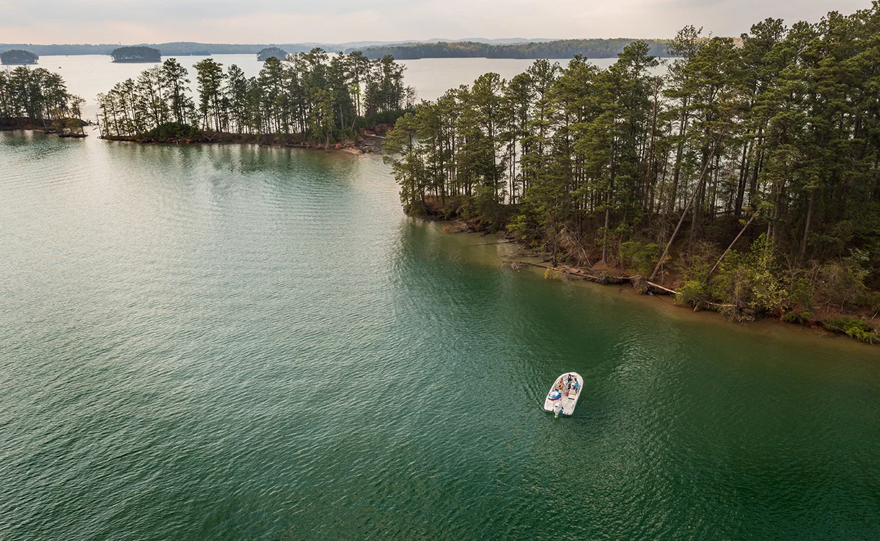 2026 Sailfish 236 DC Image Thumbnail #3