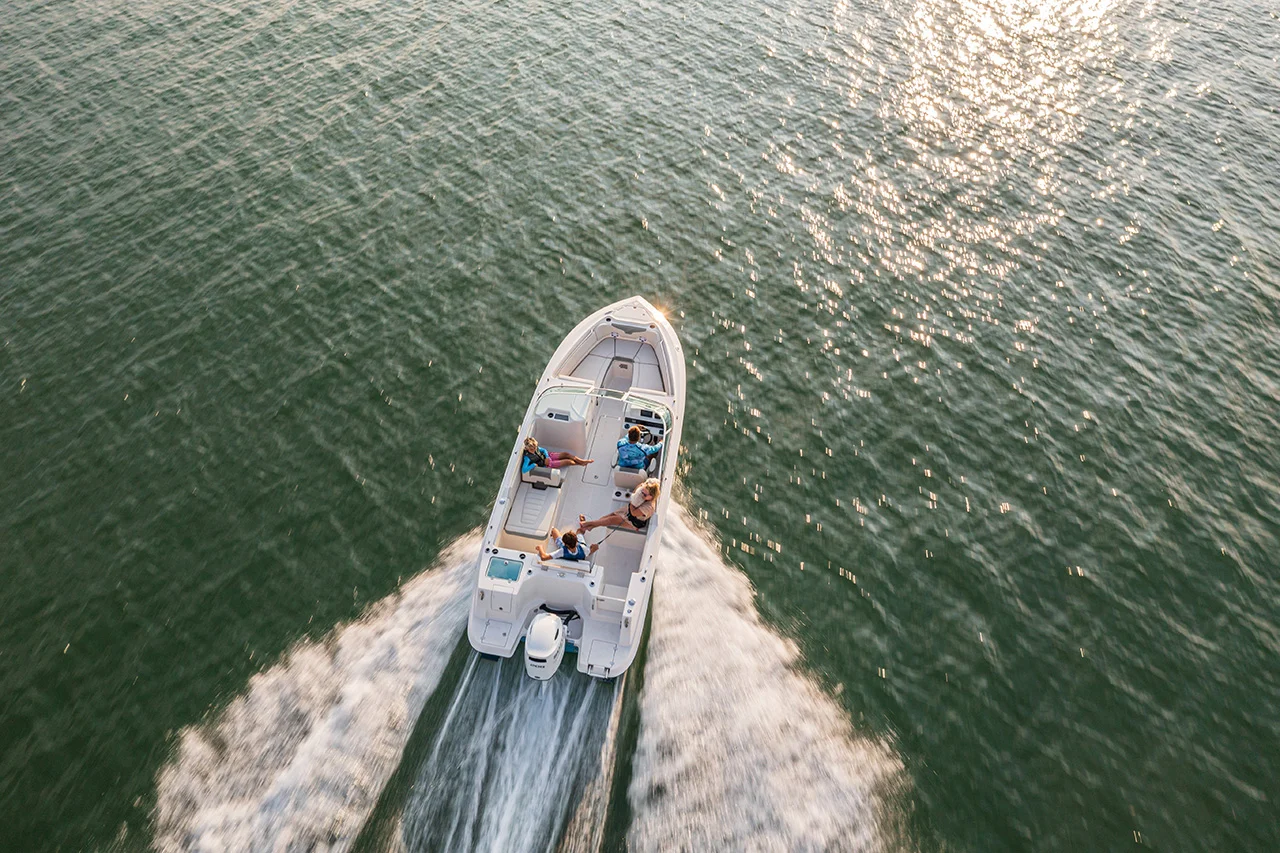 2026 Sailfish 236 DC Image Thumbnail #1