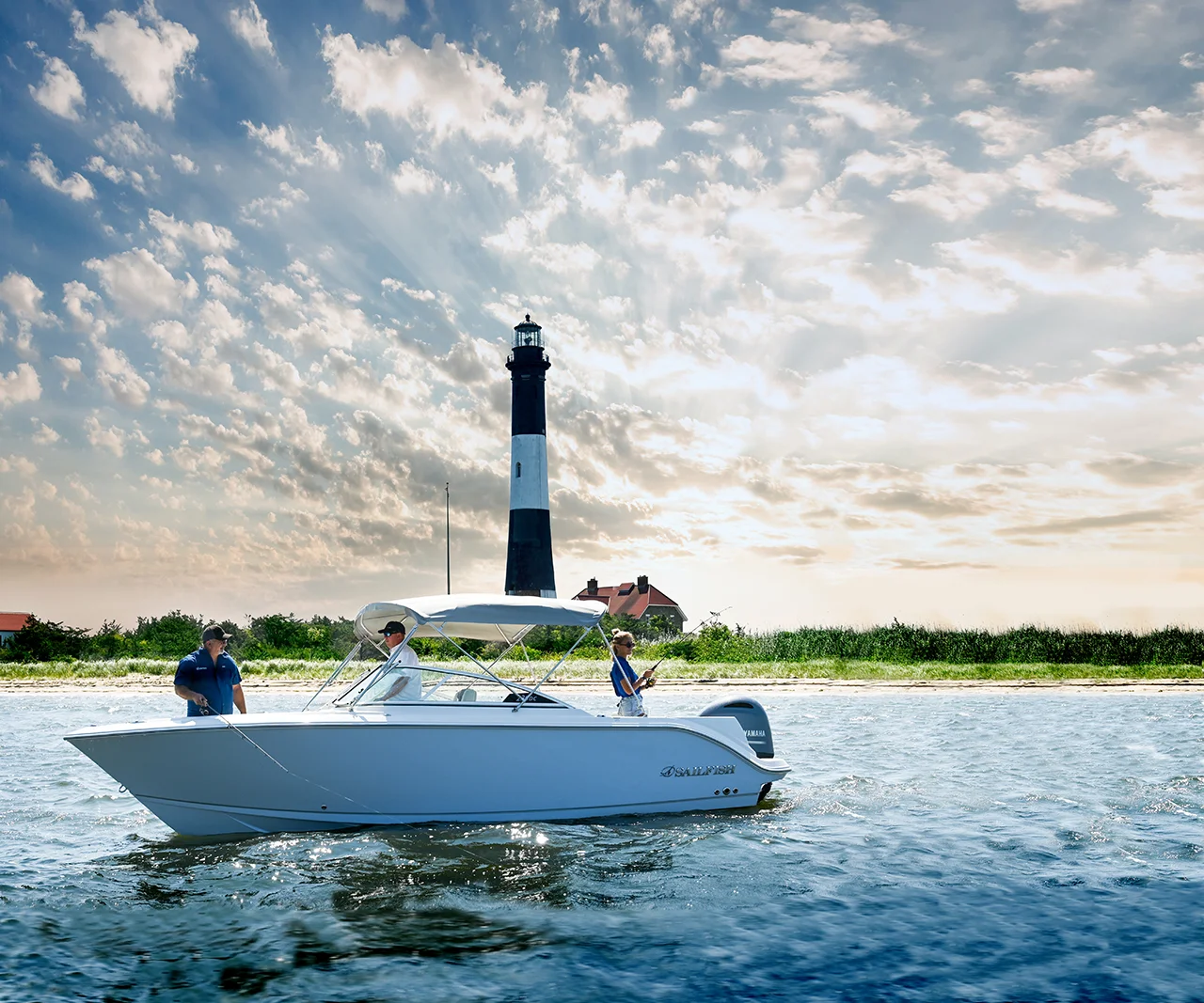 2026 Sailfish 236 DC Image Thumbnail #0