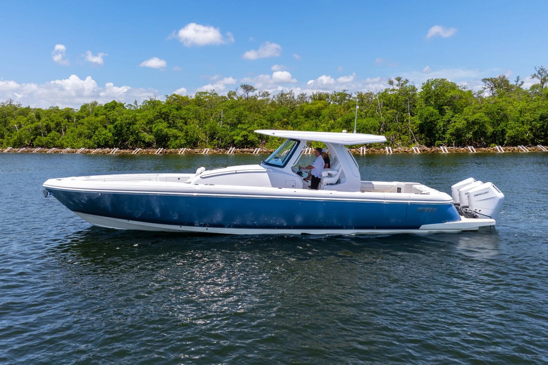 2026 Intrepid 41 Panacea Image Thumbnail #2