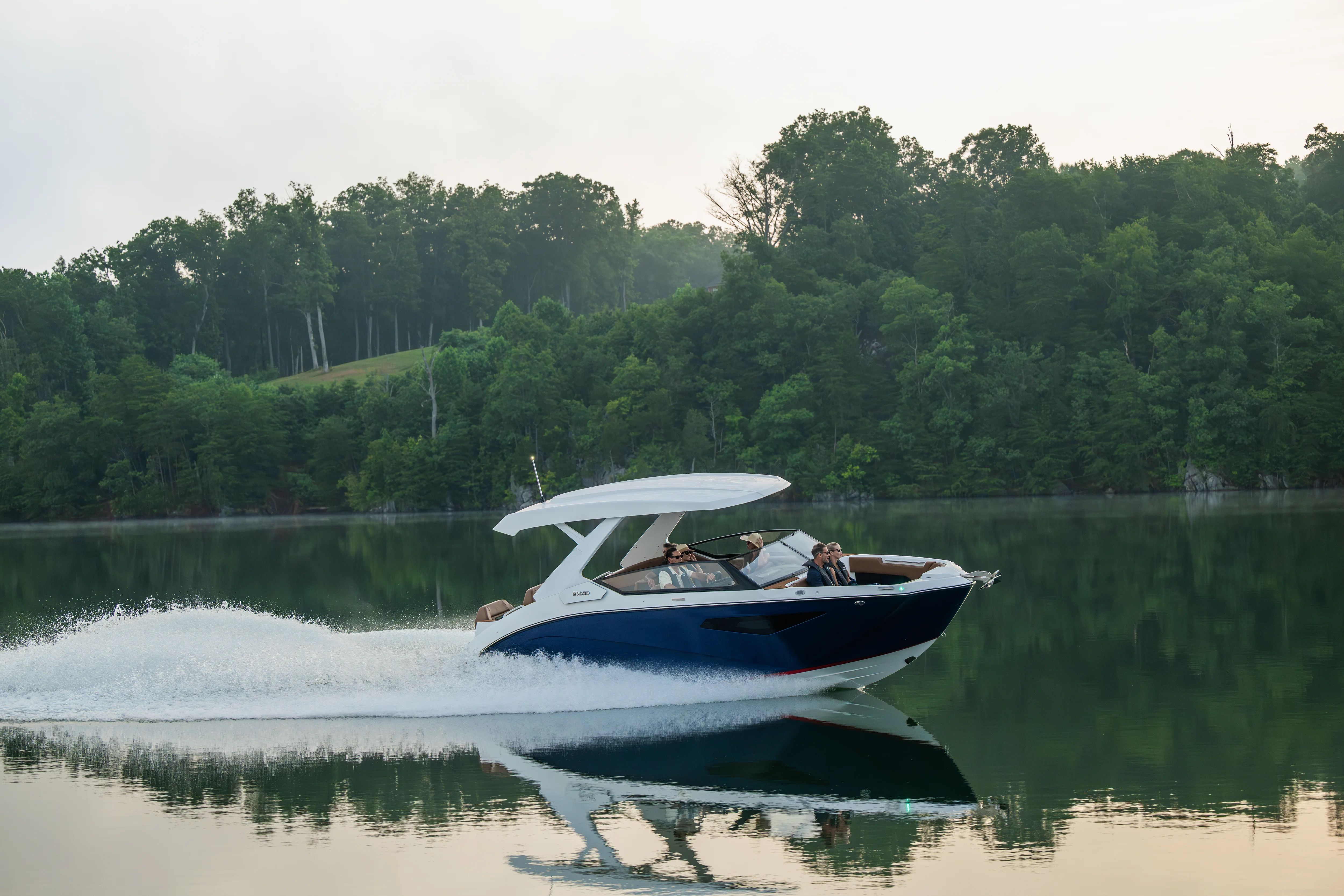 2026 Yamaha 295 SD Image Thumbnail #2