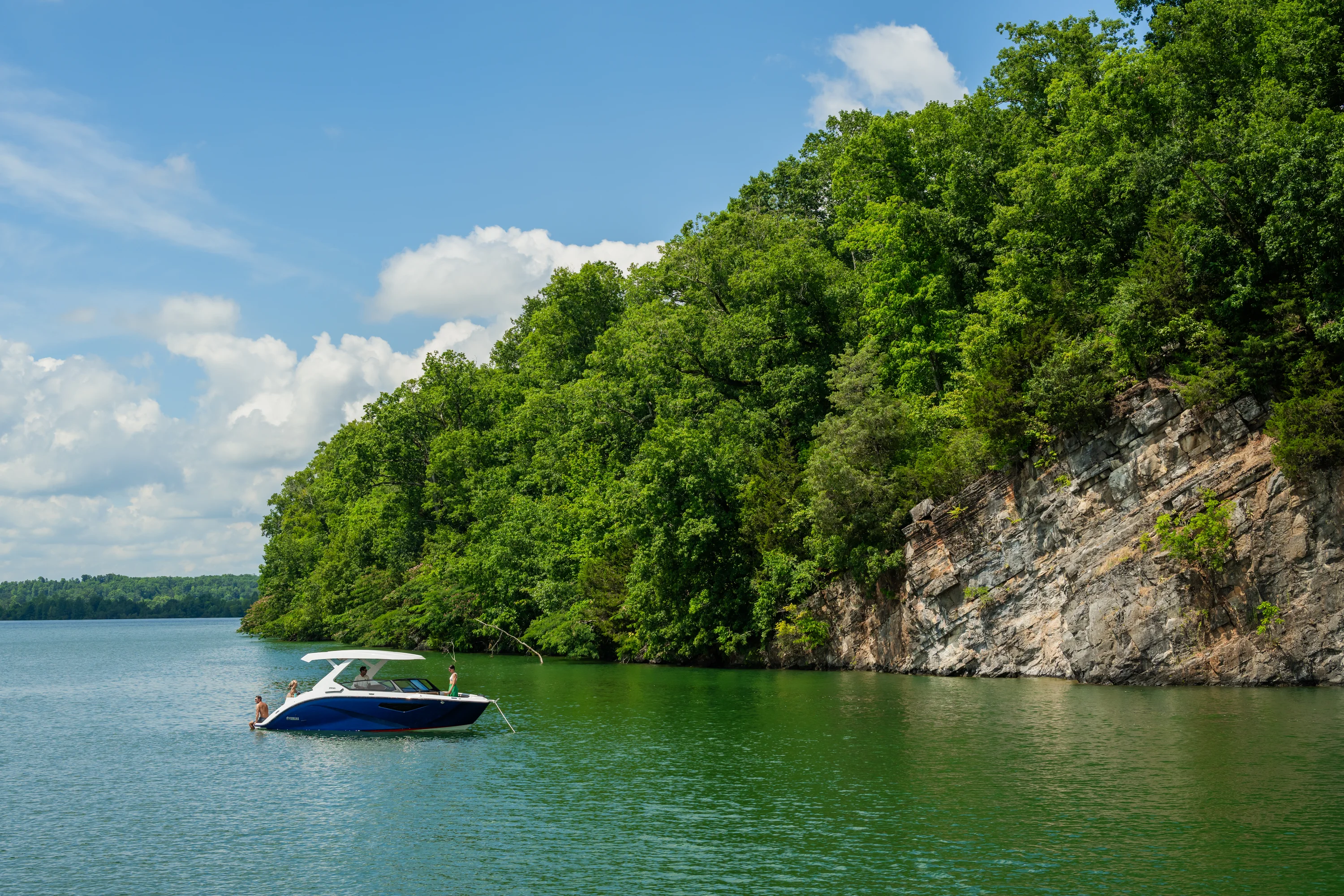 2026 Yamaha 295 SD Image Thumbnail #12