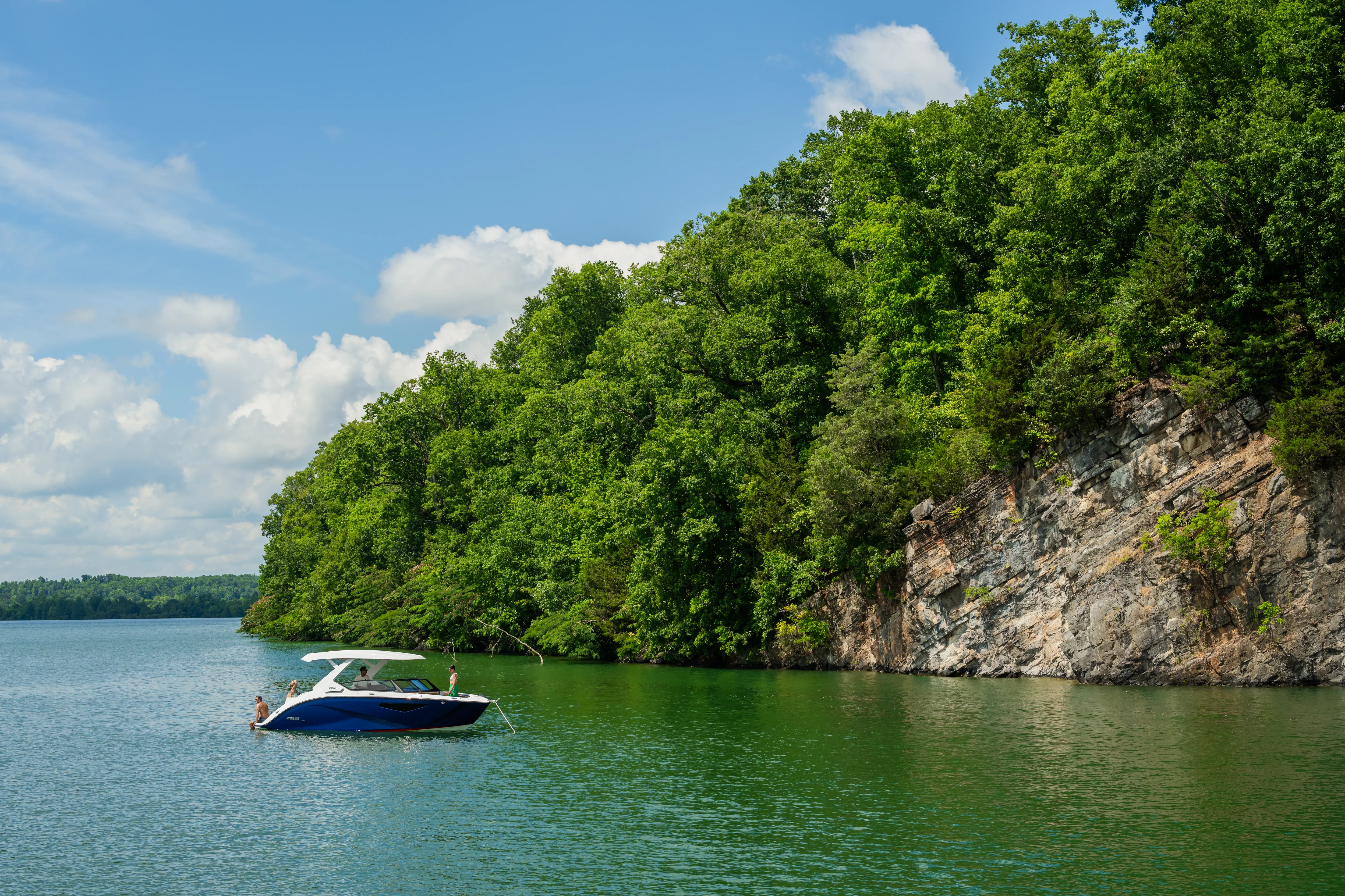 2026 Yamaha 295 SD Image Thumbnail #12