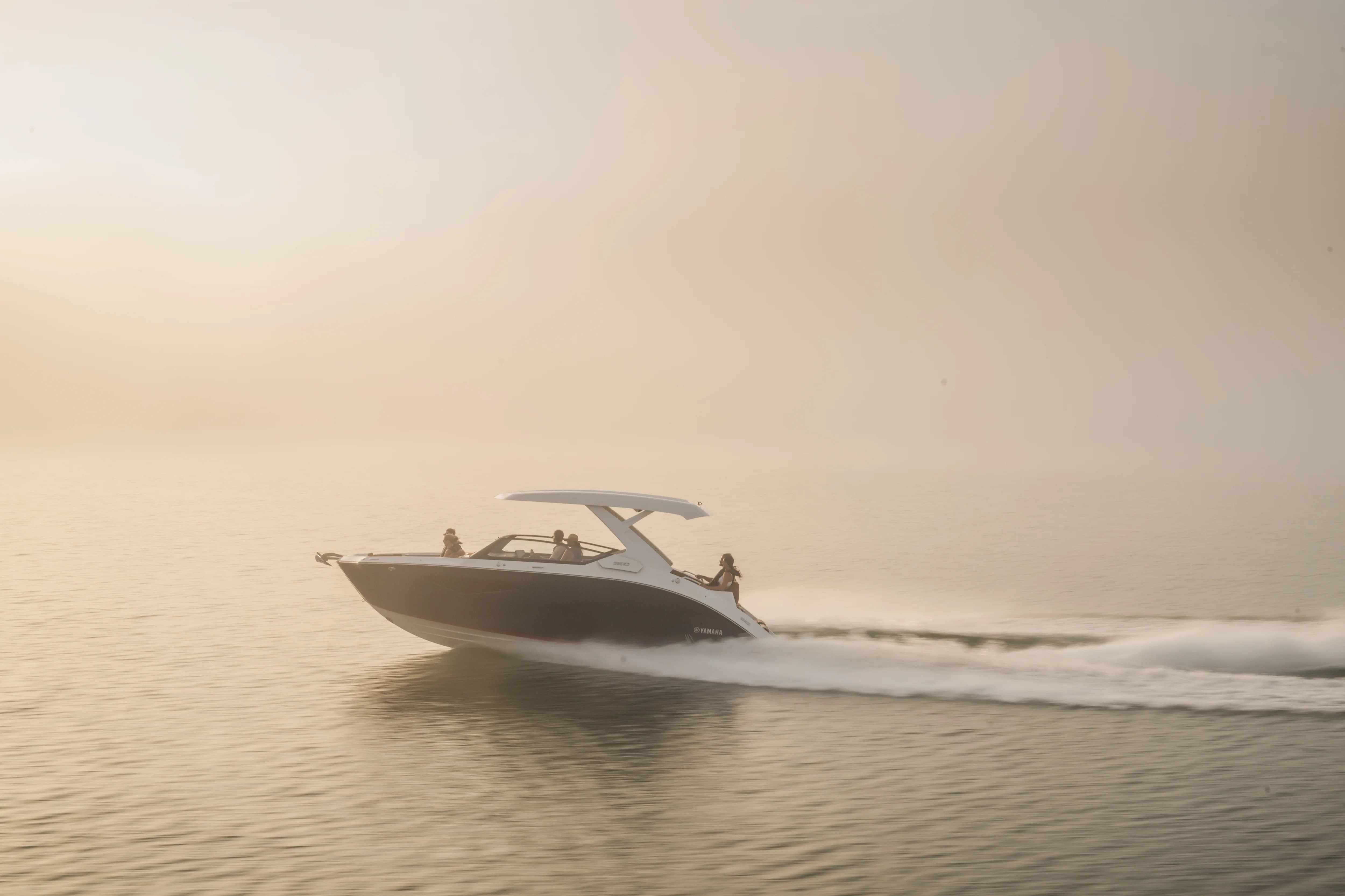 2026 Yamaha 295 SD Image Thumbnail #30