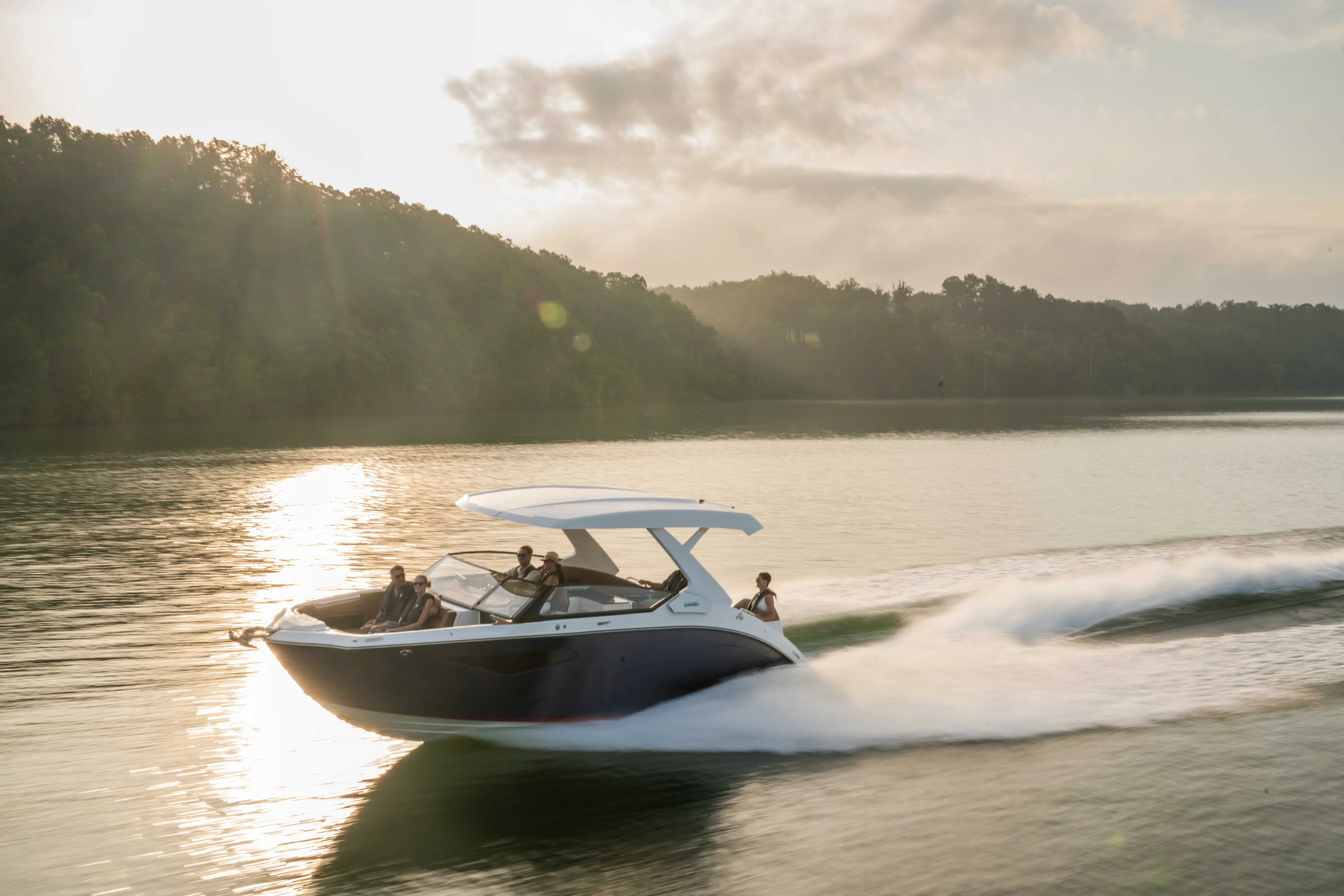 2026 Yamaha 295 SD Image Thumbnail #32