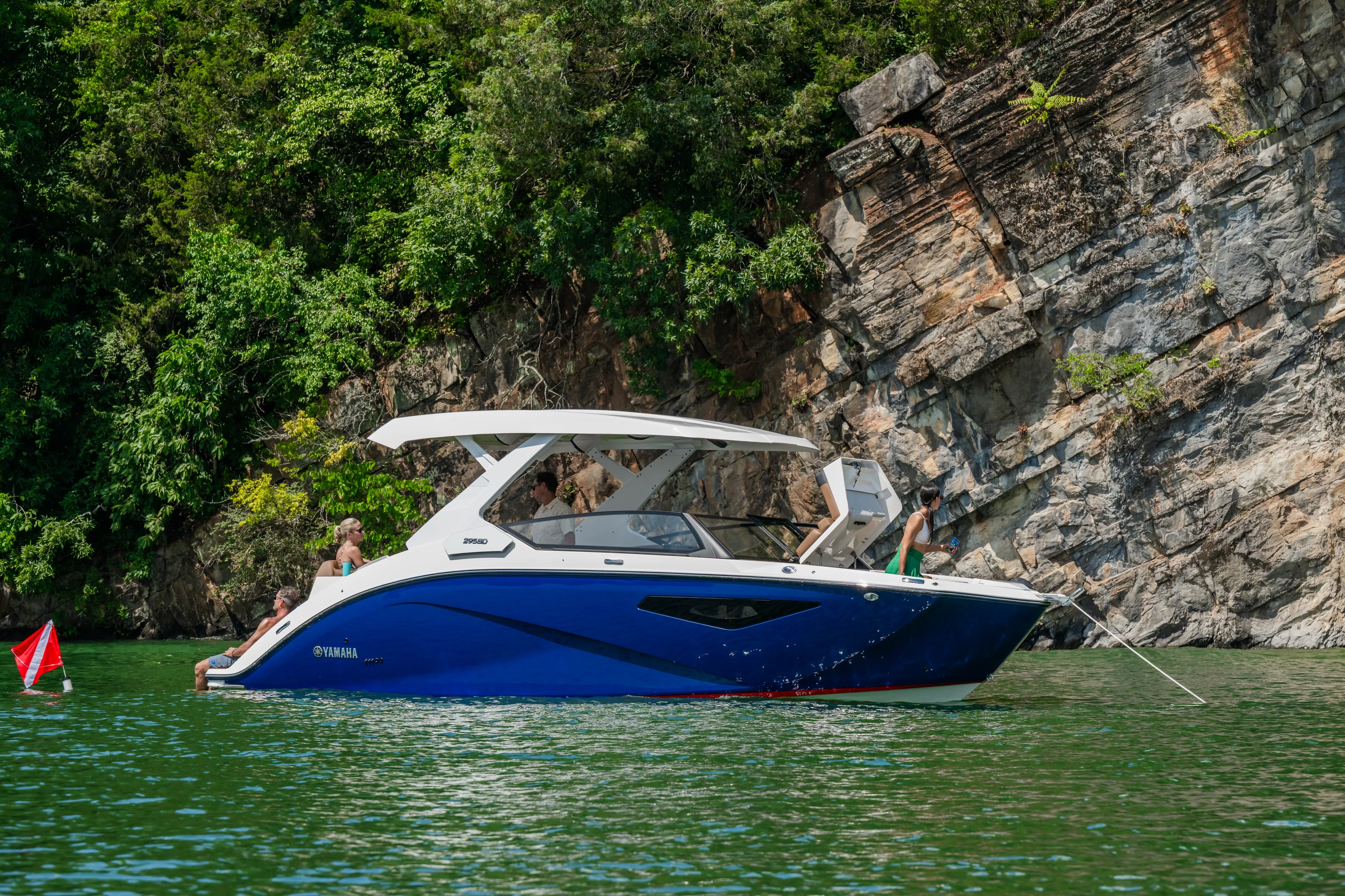 2026 Yamaha 295 SD Image Thumbnail #4