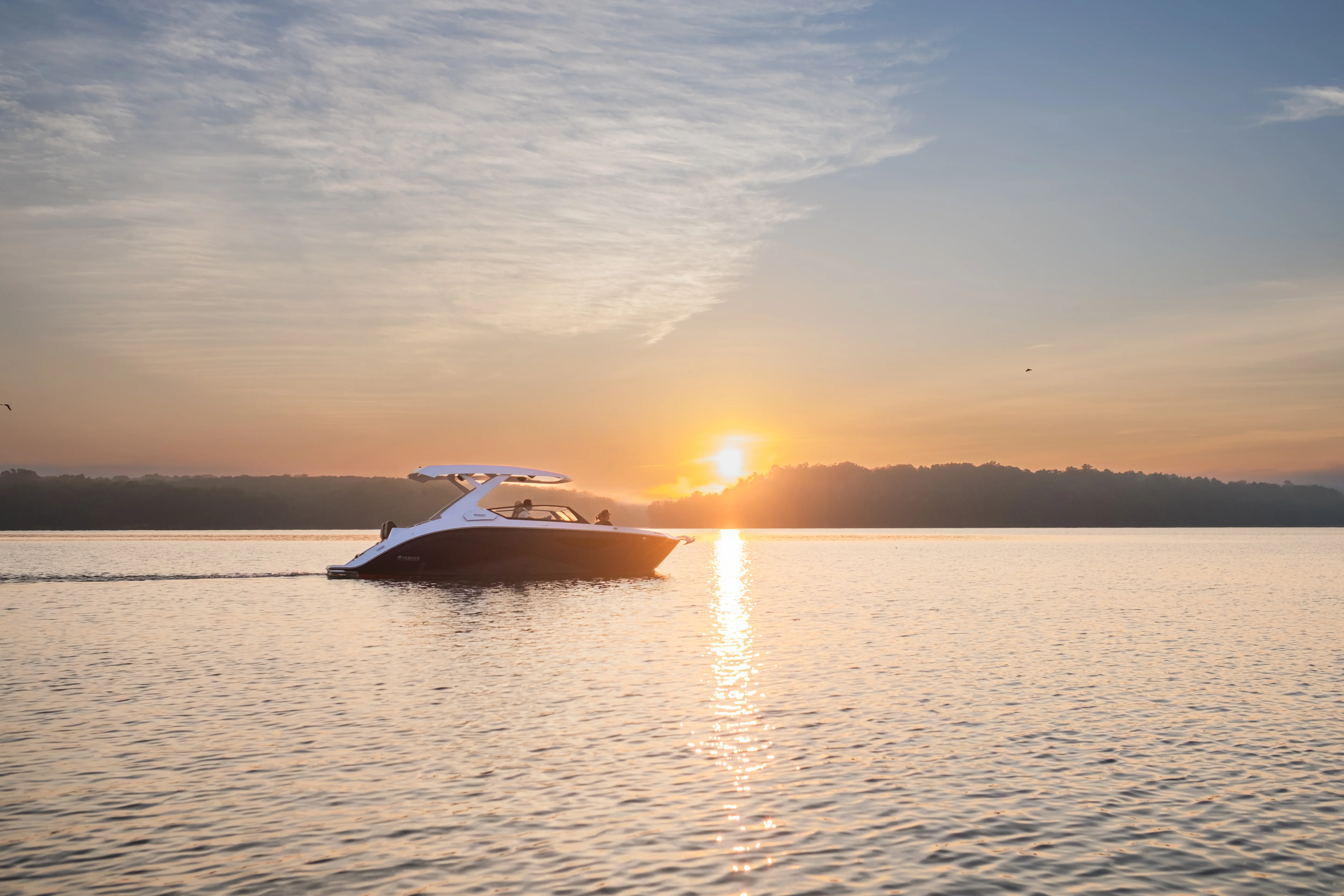 2026 Yamaha 295 SD Image Thumbnail #61