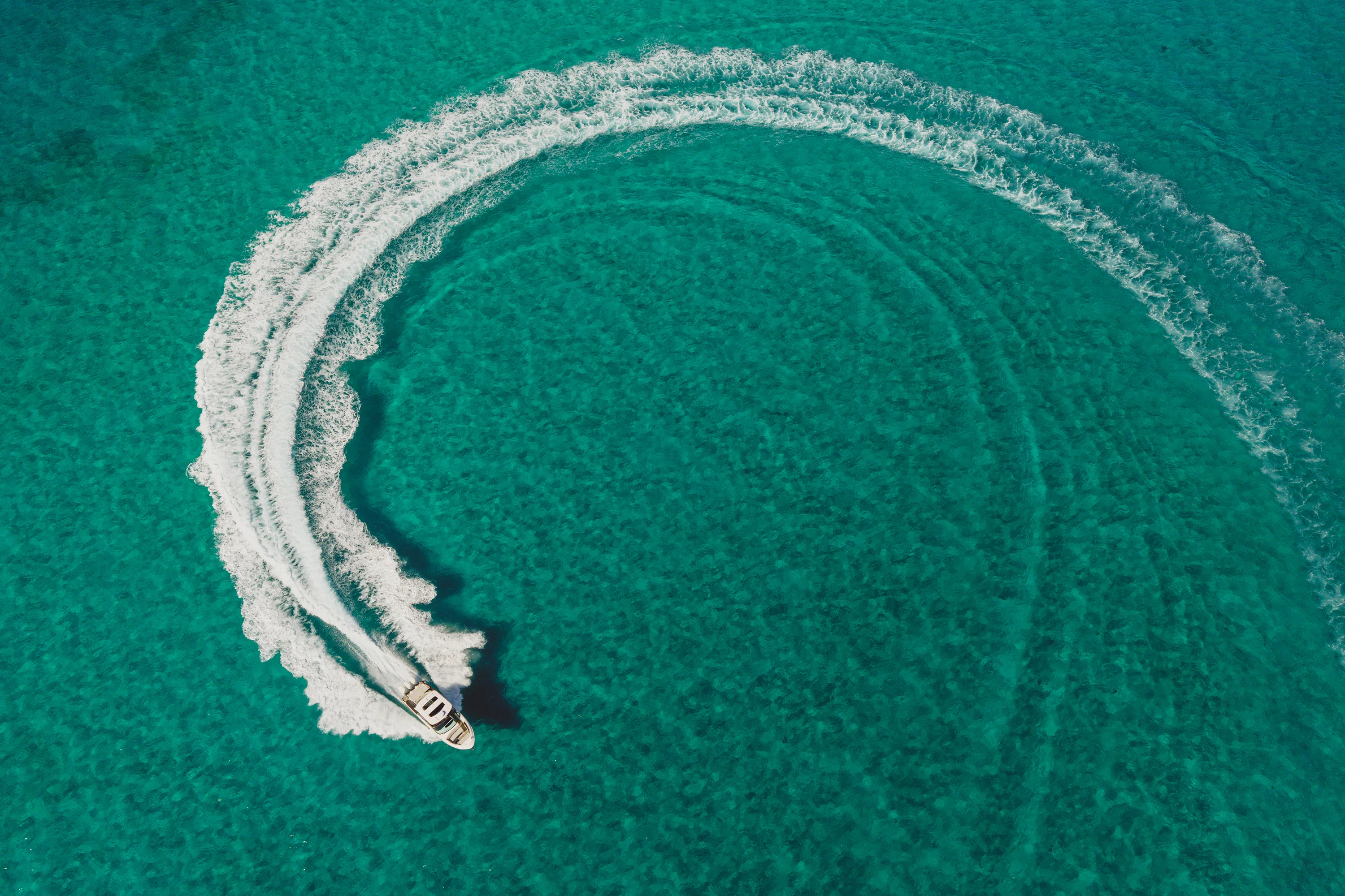 2026 Sea Ray SLX 360 Outboard  Image Thumbnail #8