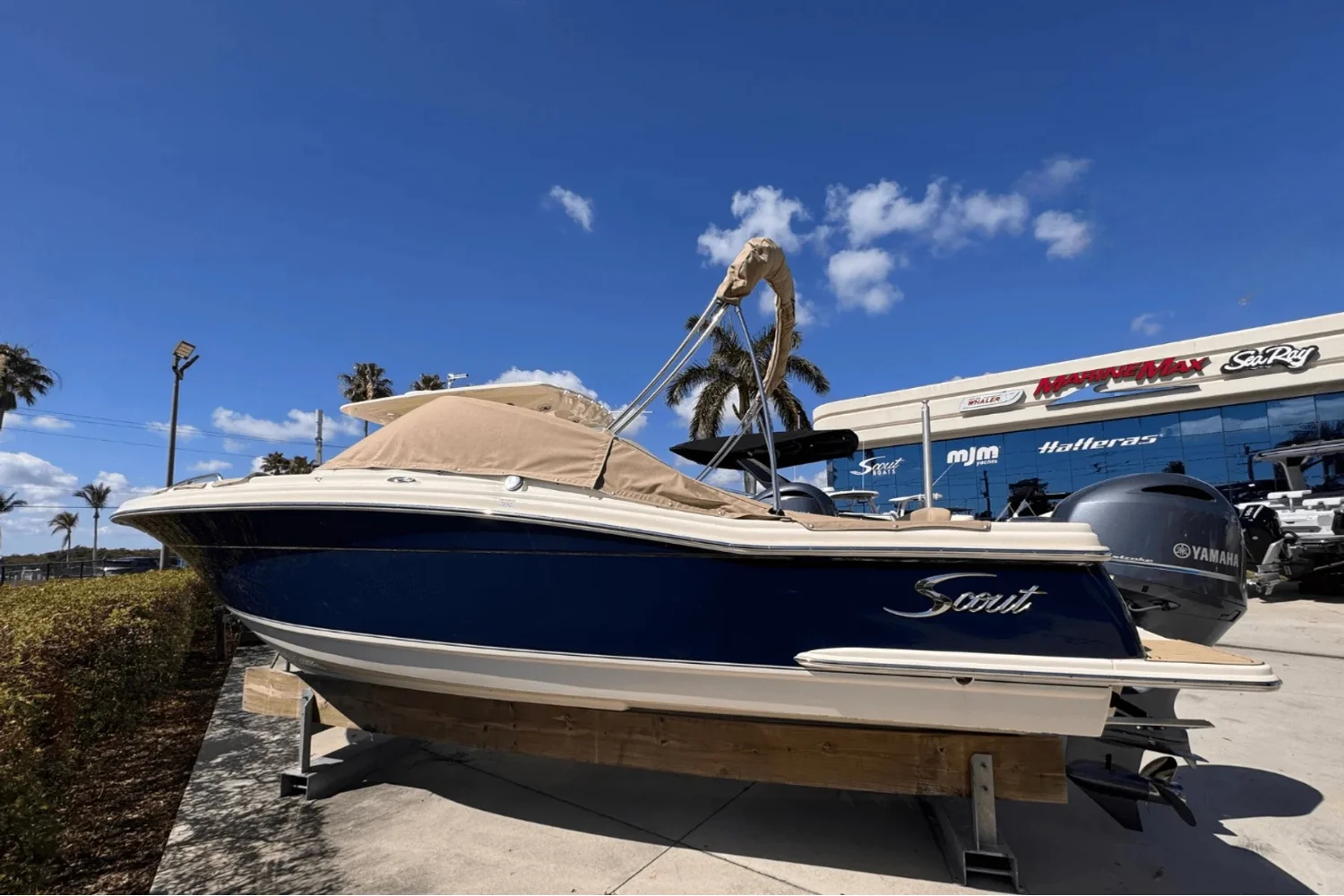 2024 Scout 215 Dorado Image Thumbnail #1