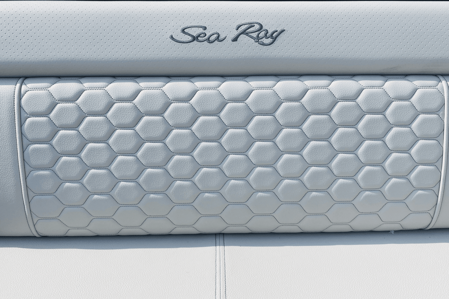 2024 Sea Ray
                                                             SDX 250 Outboard Image Thumbnail #29