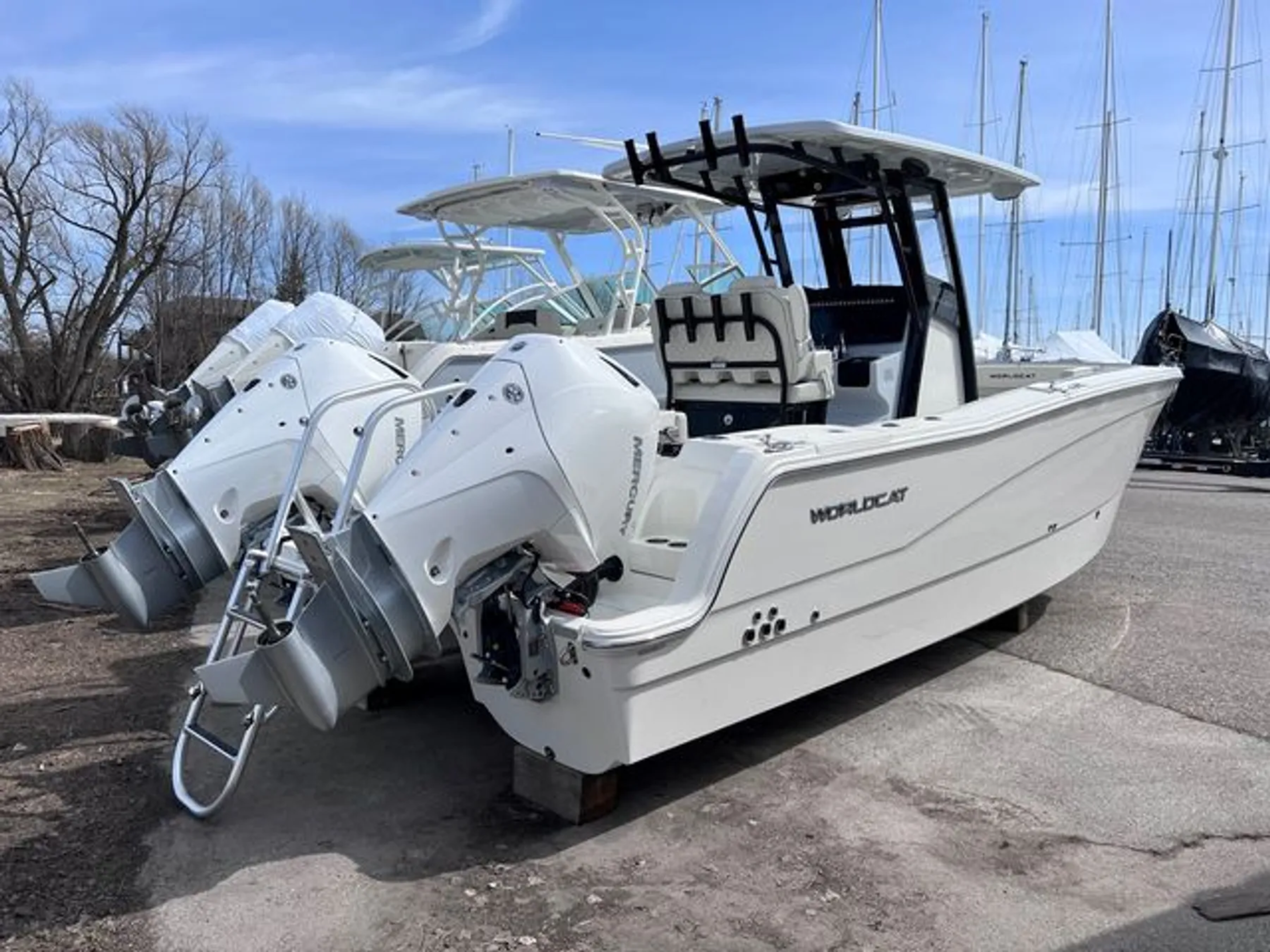 2023 World Cat 260CC Image Thumbnail #5