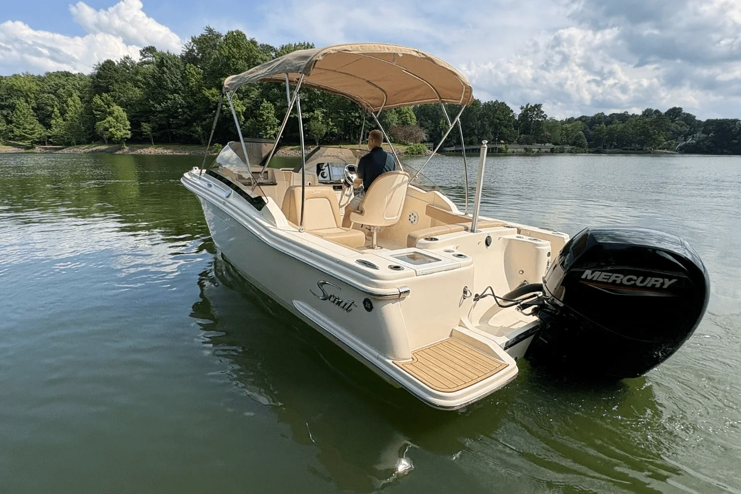 2024 Scout 215 Dorado Image Thumbnail #6