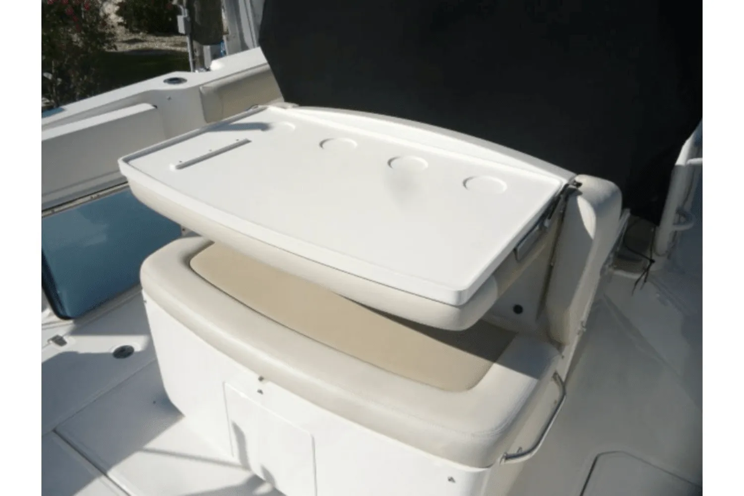 2017 Boston Whaler 330 OUTRAGE Image Thumbnail #10